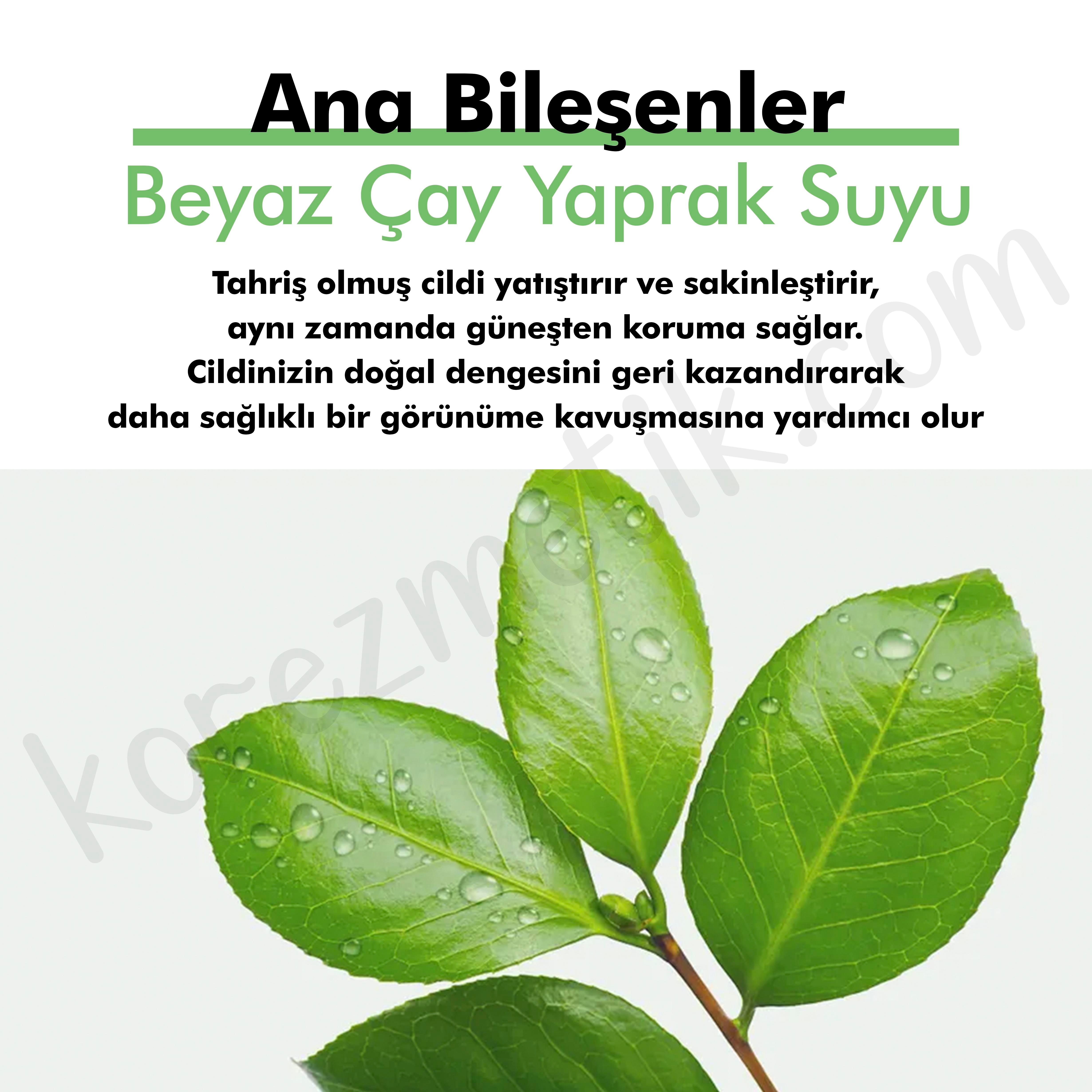 Dr. Althea Beyaz Çay ve Sodium DNA İçeren Yatıştırıcı Etkili Green Tea Fresh Güneş Kremi Spf50+ Pa++++ 50ml