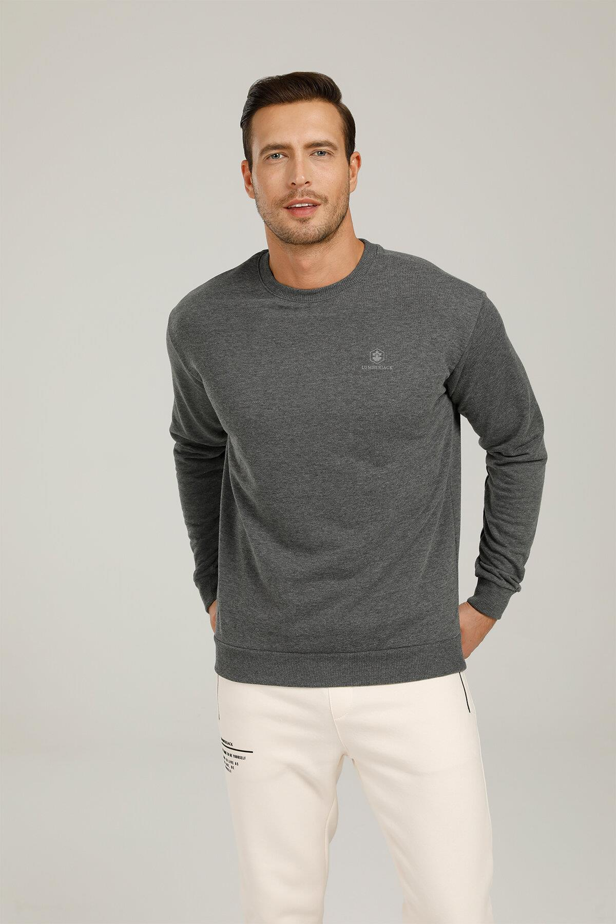 Lumberjack 1W Sn75 Basic C-Neck Sweatshirt 1Pr Erkek Gri Melanj Sweatshirt