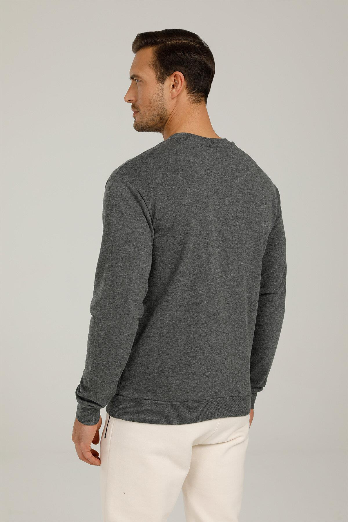 Lumberjack 1W Sn75 Basic C-Neck Sweatshirt 1Pr Erkek Gri Melanj Sweatshirt