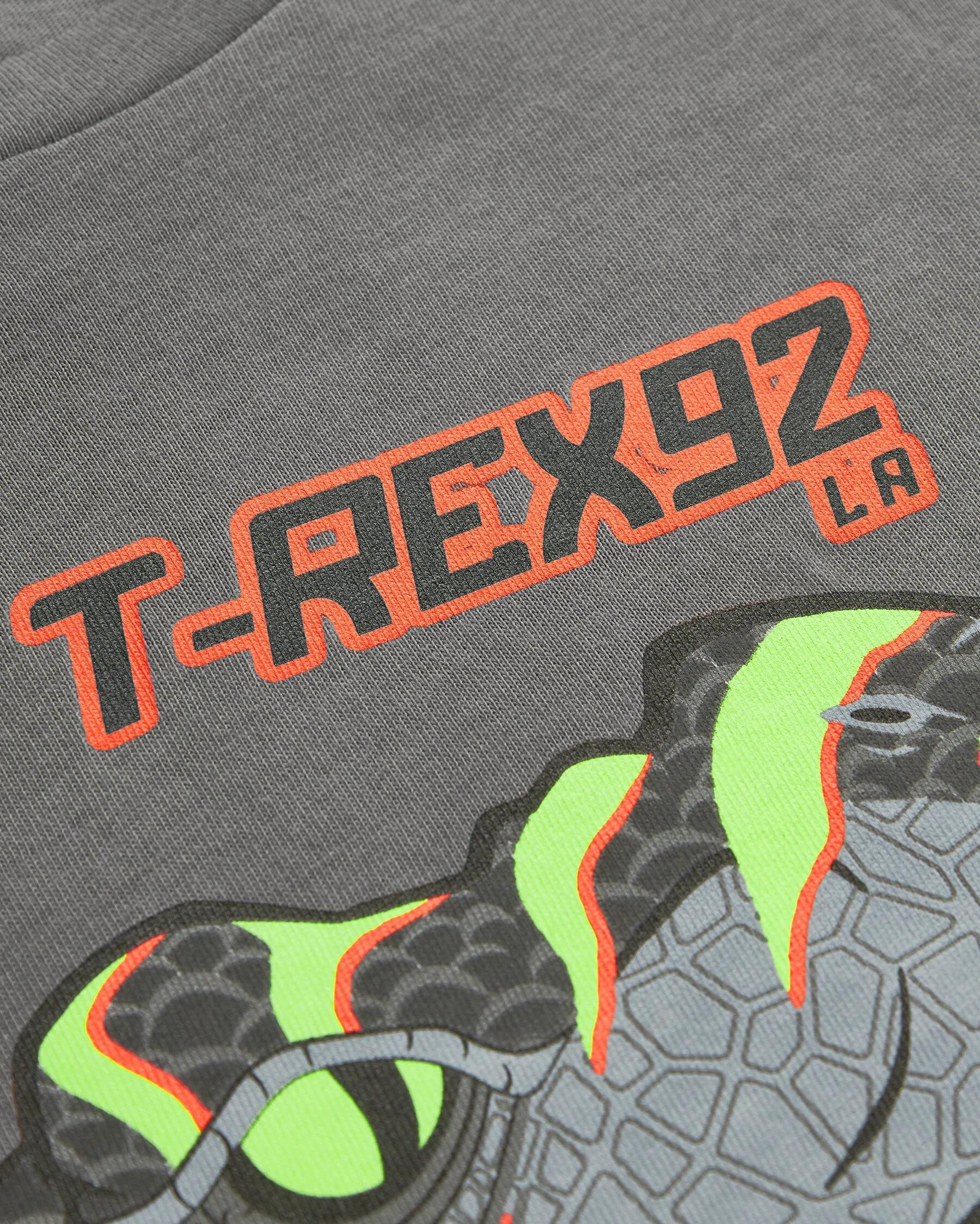 Skechers Graphic Tee B Short Sleeve Erkek Çocuk  Bisiklet Yaka Tshirt