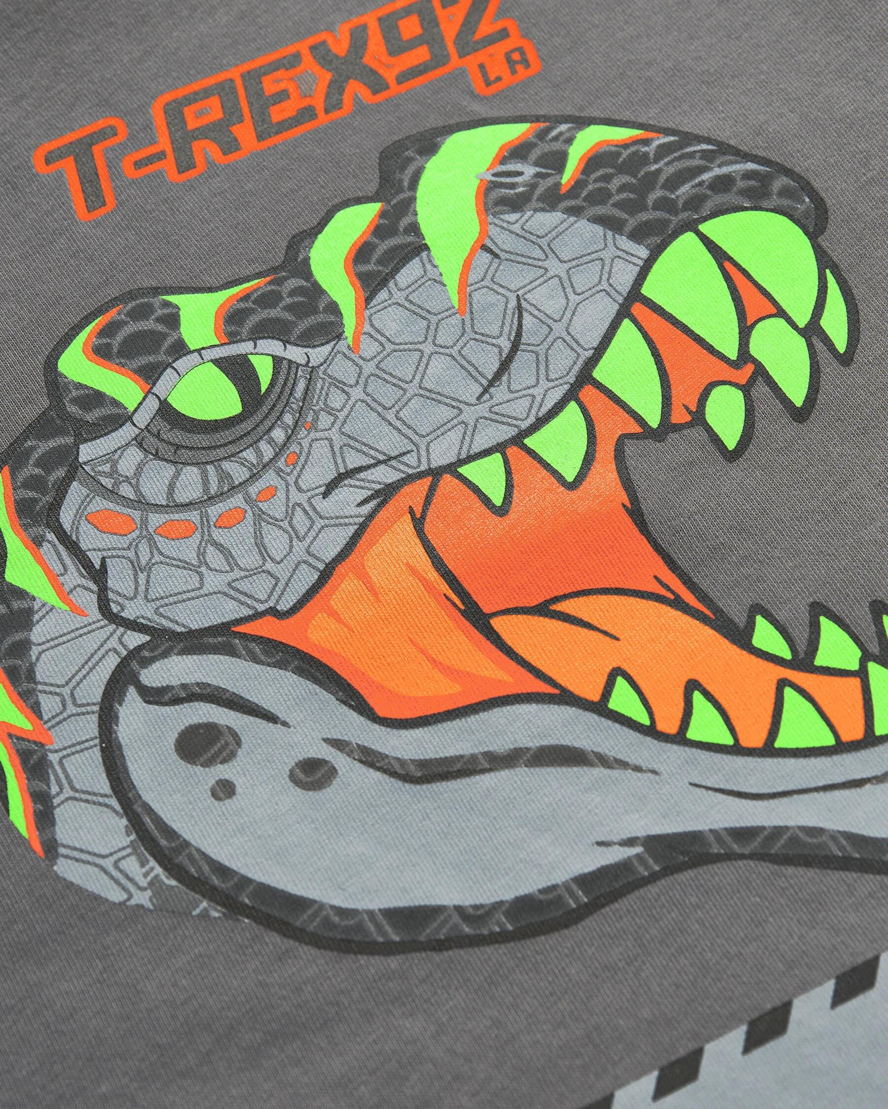 Skechers Graphic Tee B Short Sleeve Erkek Çocuk  Bisiklet Yaka Tshirt