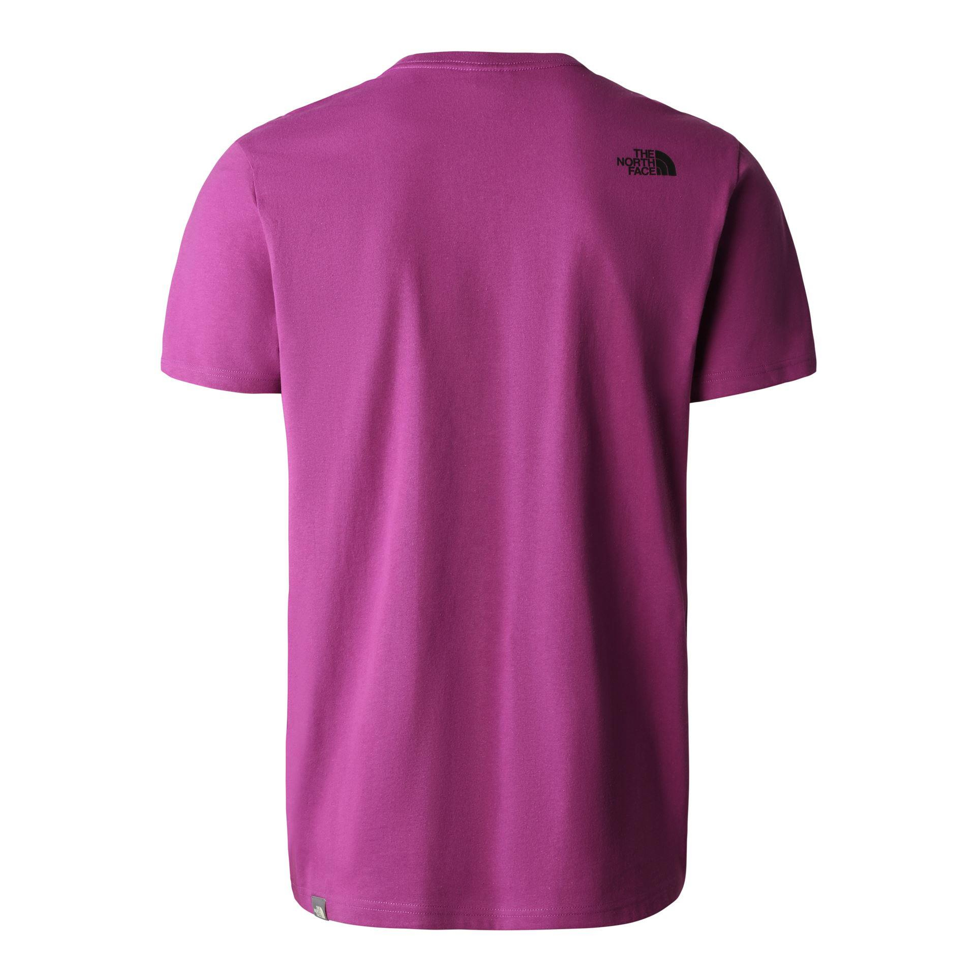 The North Face M S/S Woodcut Dome Tee-Eu Erkek Mor Bisiklet Yaka Tshirt