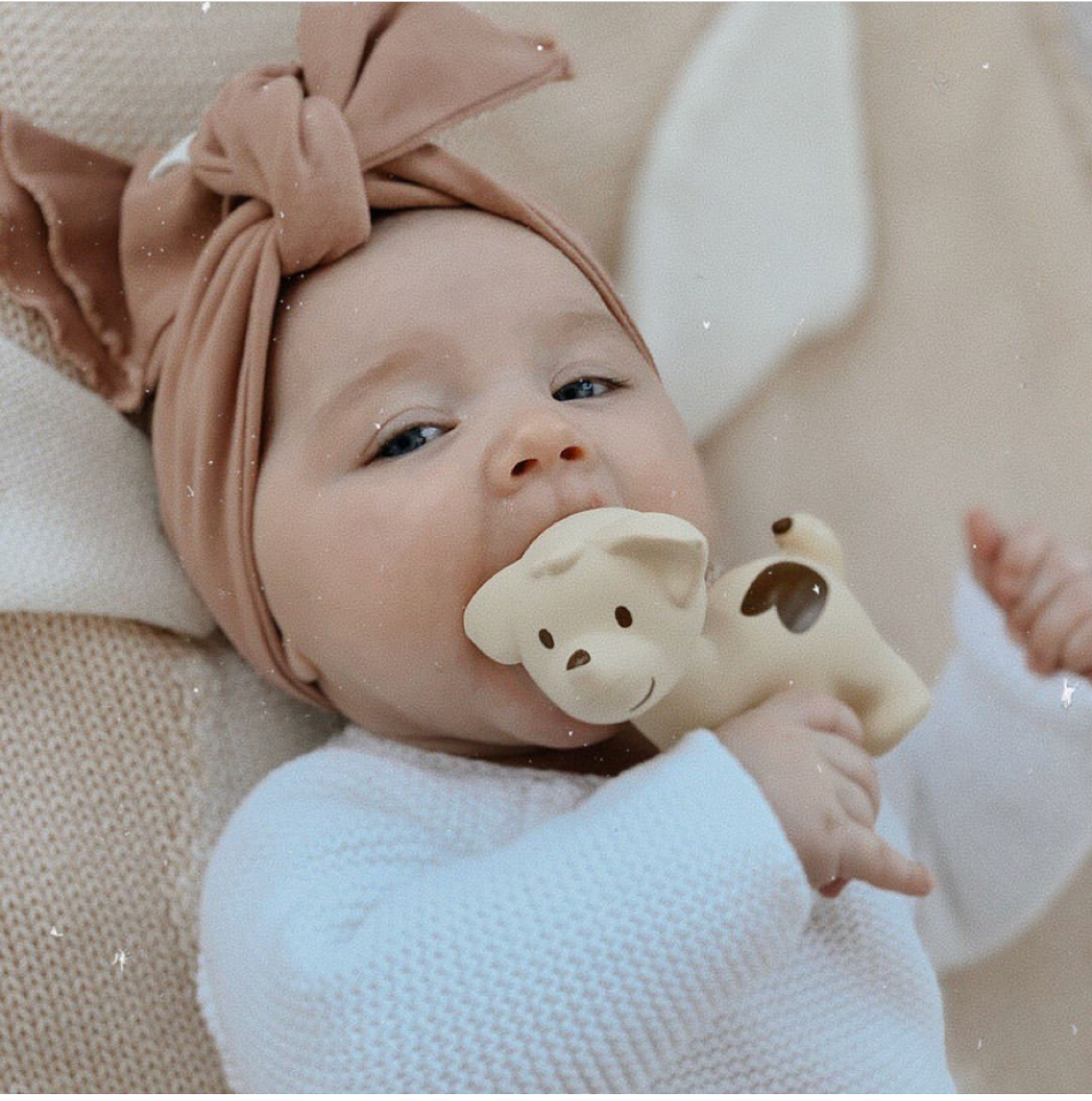 BIBS Tikiri Doğal Kauçuk Diş Kaşıyıcılı Oyuncak - Puppy STD