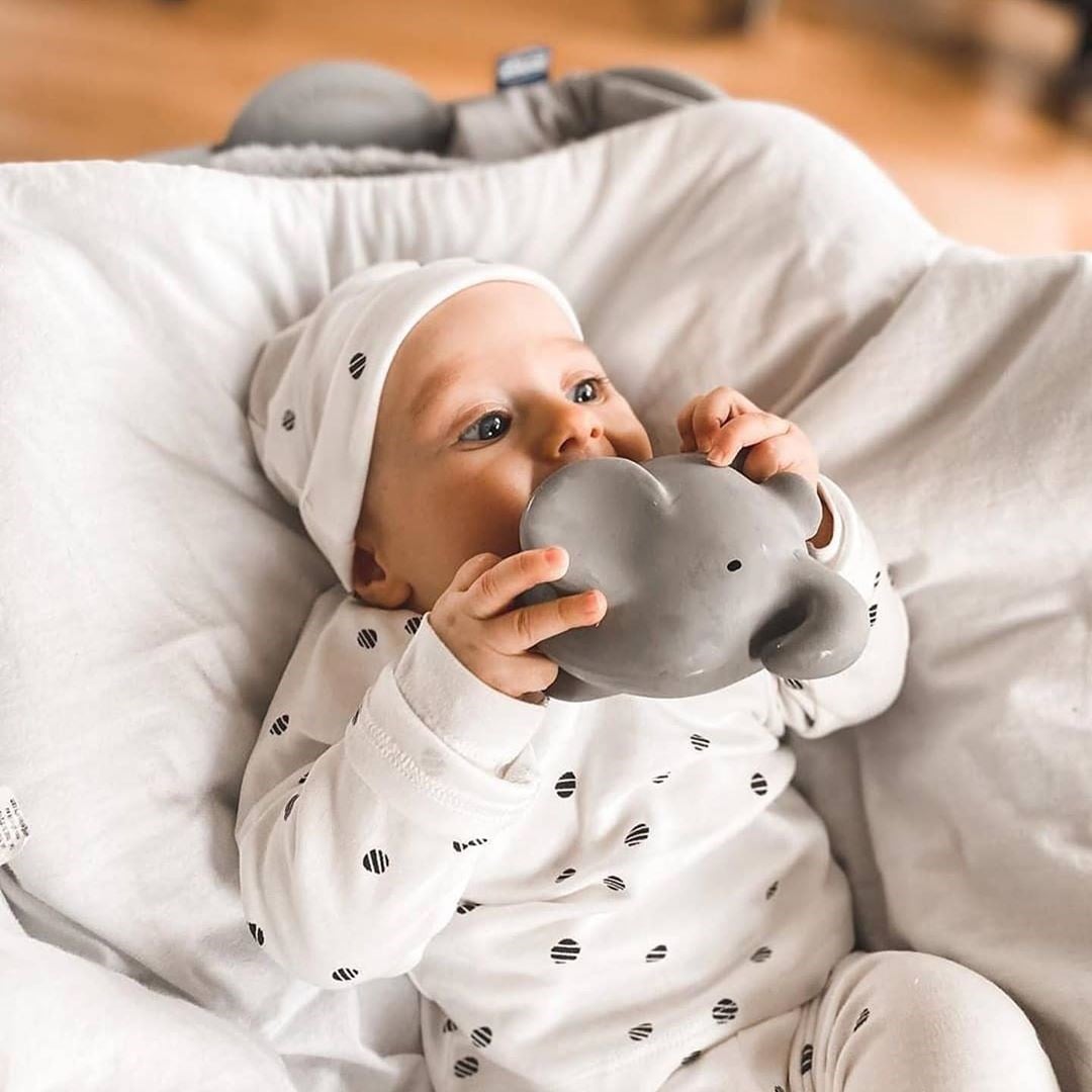 BIBS Tikiri Doğal Kauçuk Diş Kaşıyıcılı Oyuncak - Elephant STD
