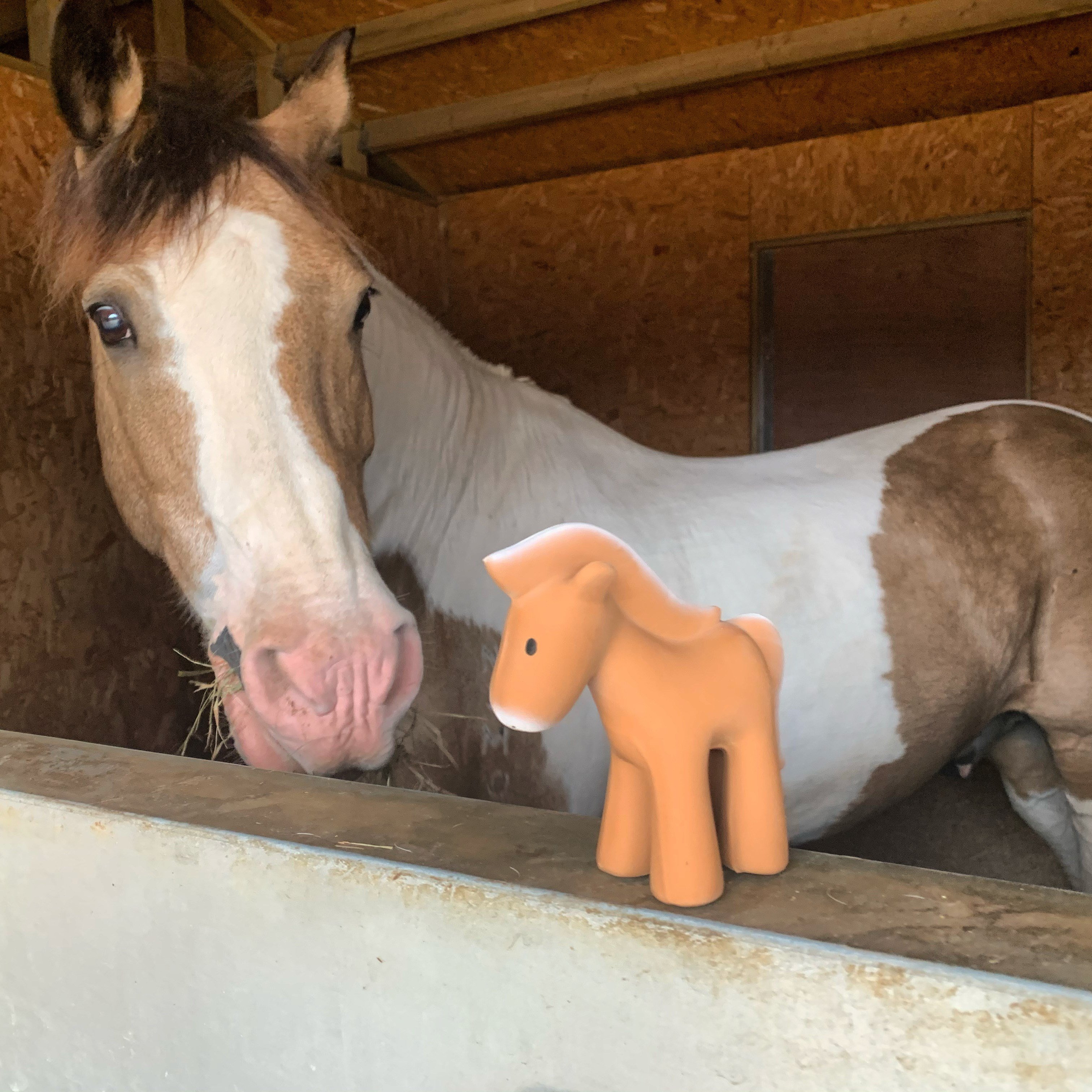 BIBS Tikiri Doğal Kauçuk Diş Kaşıyıcılı Oyuncak - Horse STD