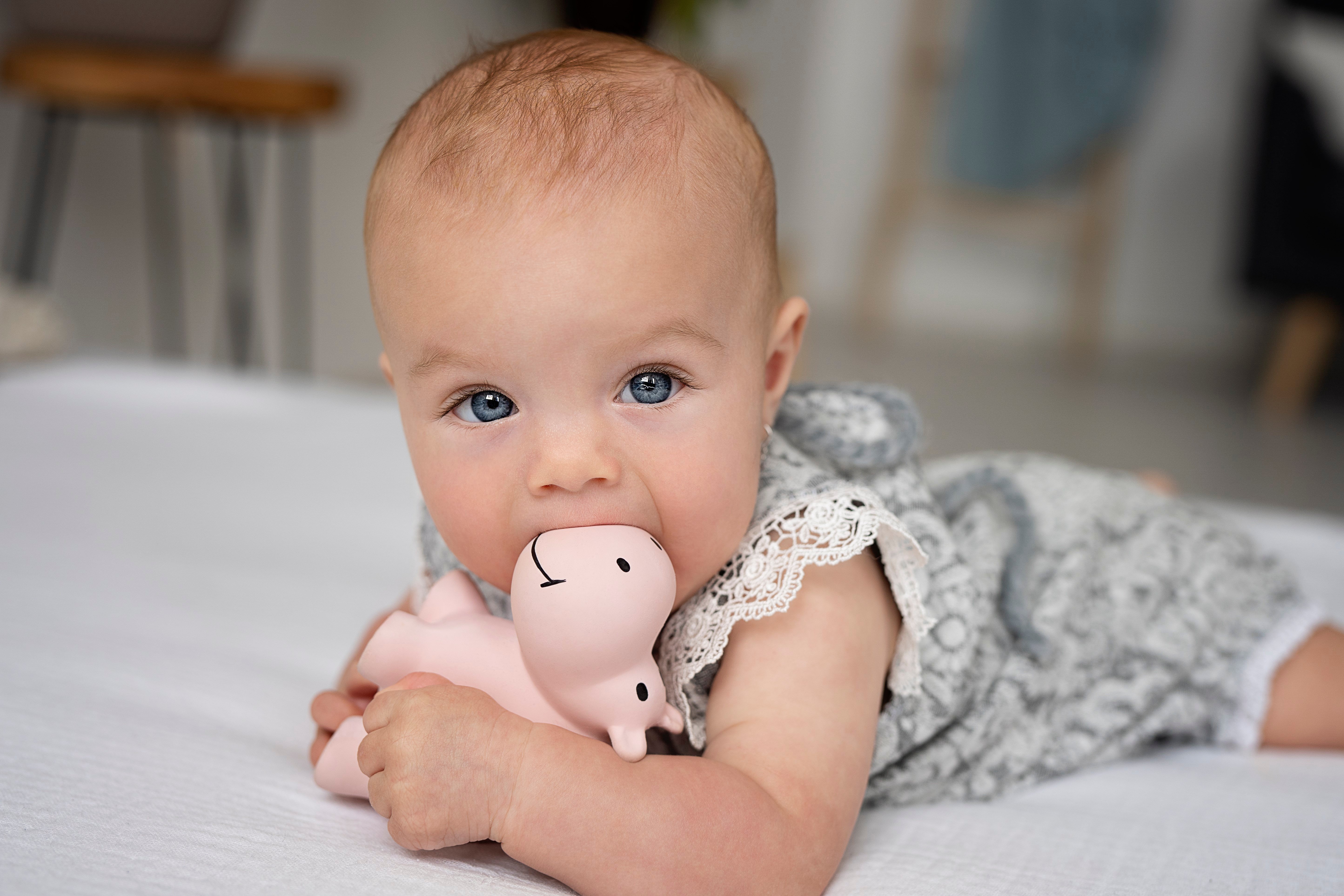 BIBS Tikiri Doğal Kauçuk Diş Kaşıyıcılı Oyuncak - Hippo STD
