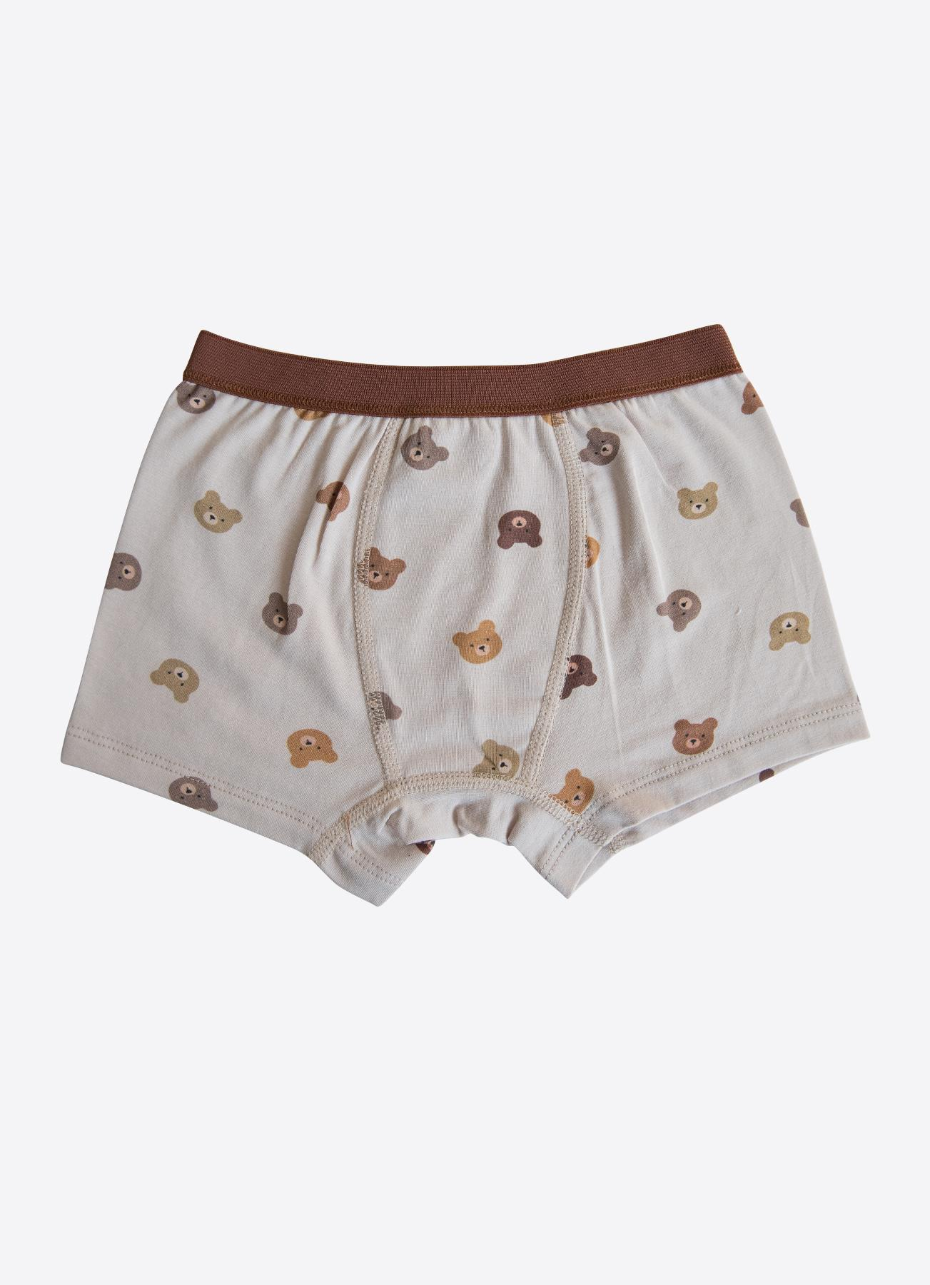 Organik Bear 3'lü Boxer Kahverengi