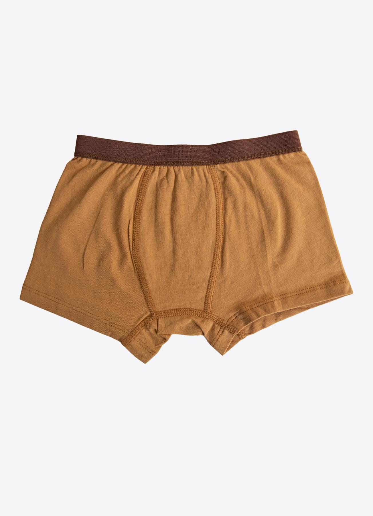 Organik Bear 3'lü Boxer Kahverengi