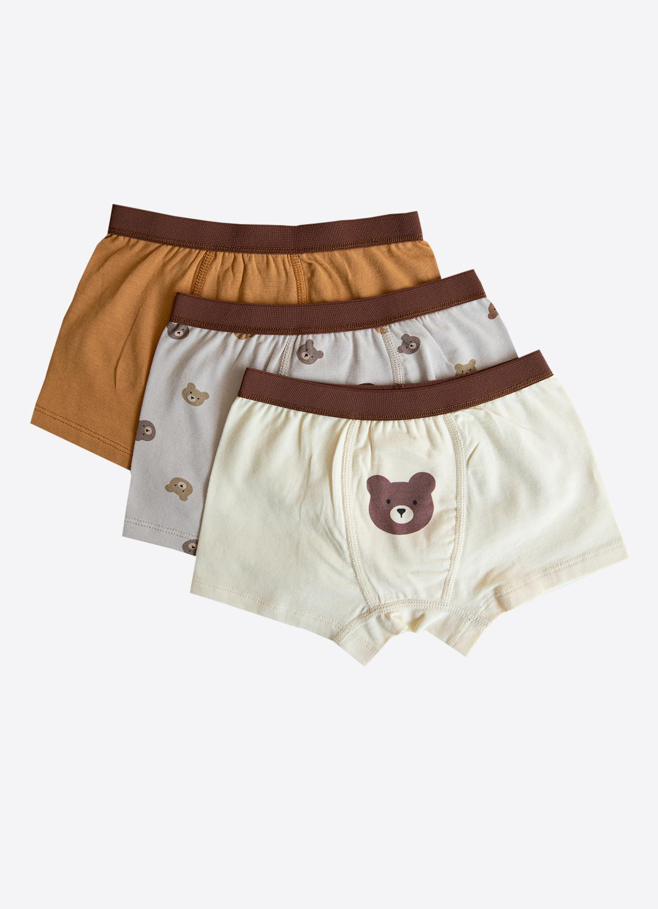 Organik Bear 3!lü Boxer Kahverengi