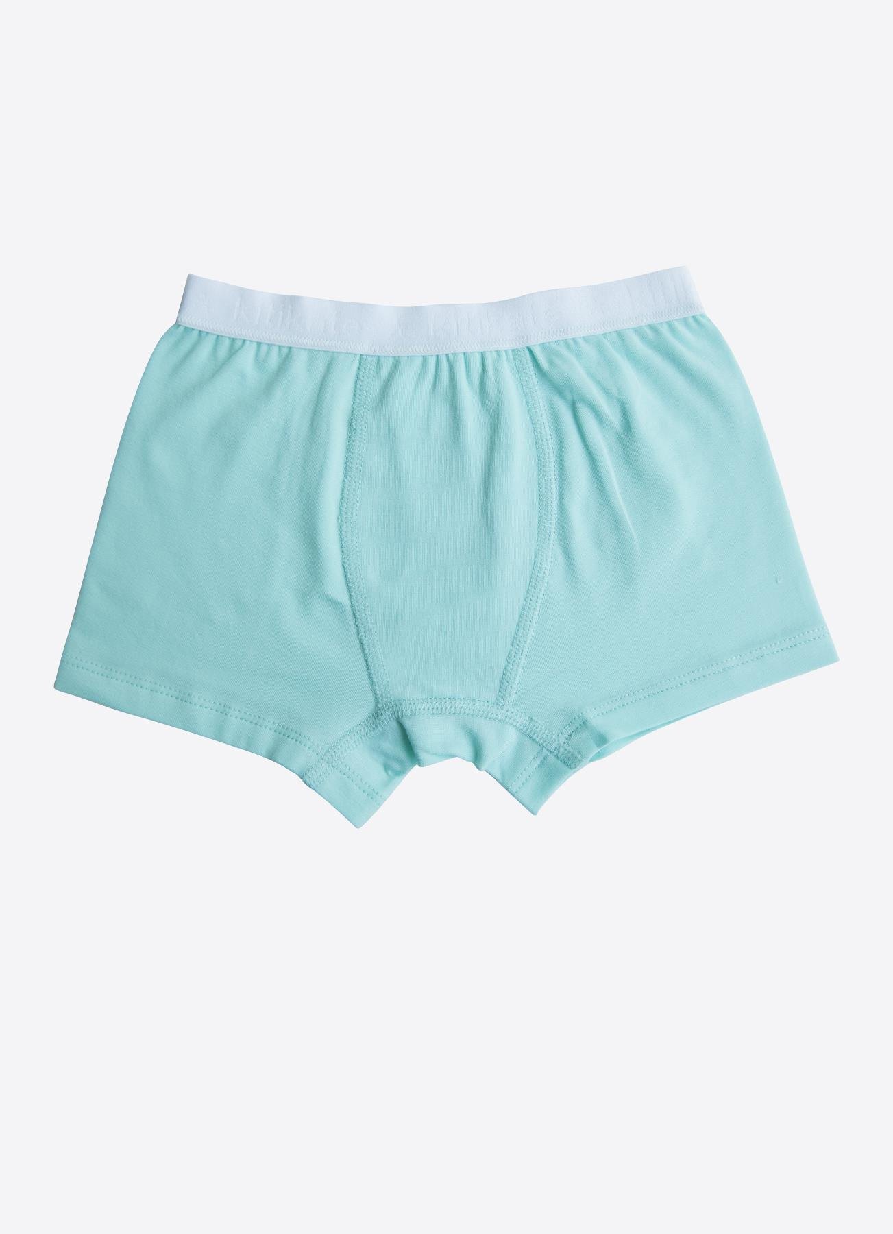 ORGANİK ELEPHANT 3'LÜ BOXER MAVİ