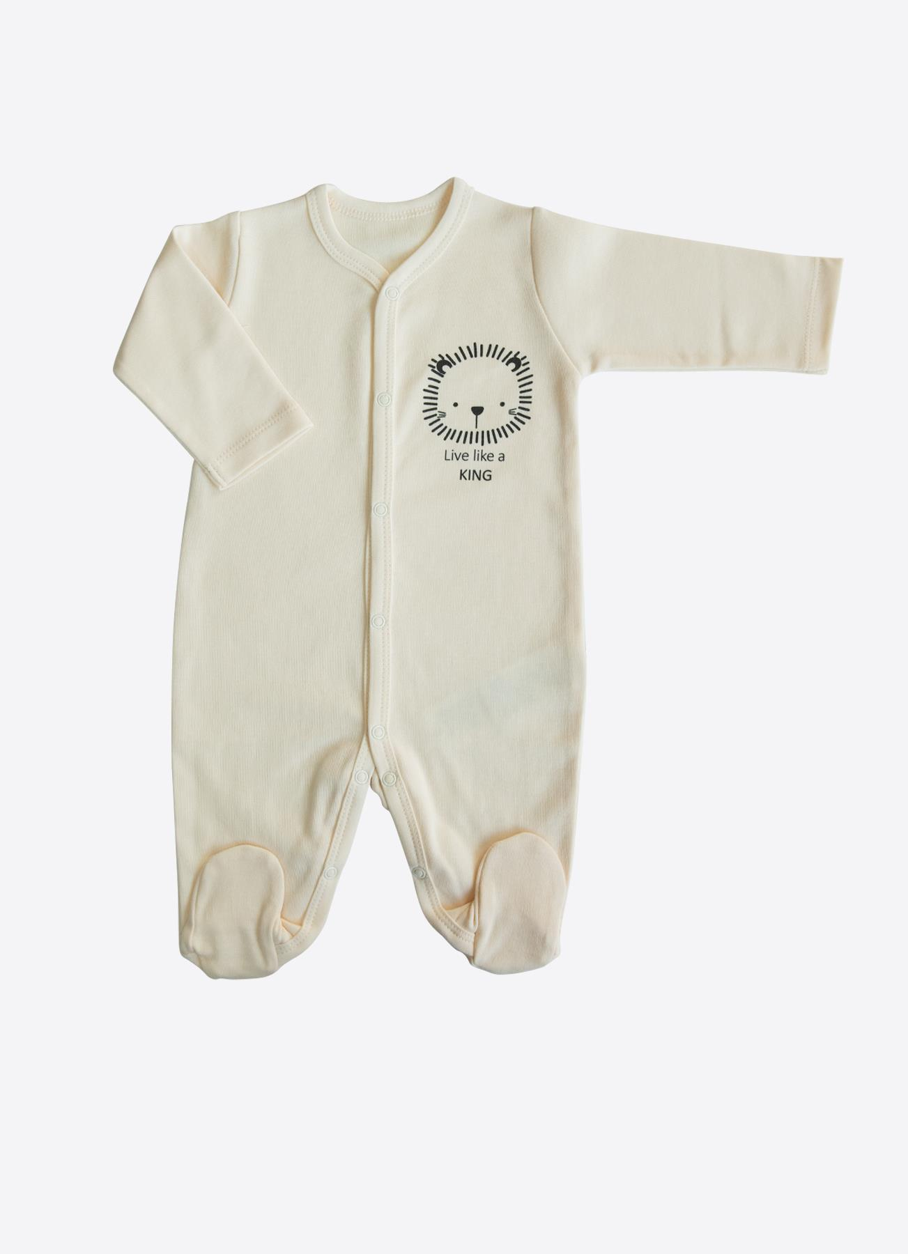 ORGANİK KÜÇÜK ASLAN 12'Lİ ZIBIN SET NATURAL