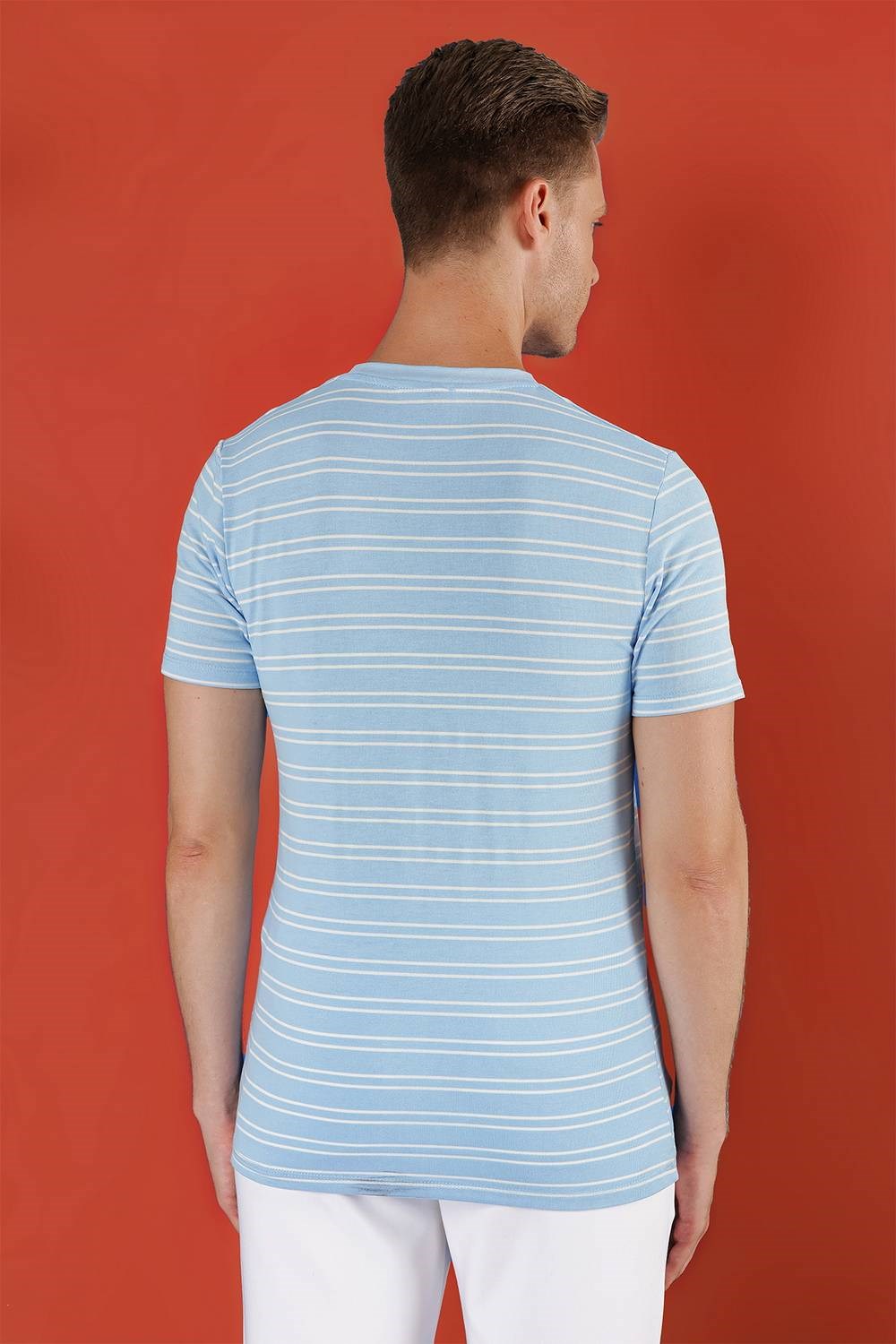 Slim Fit Bisiklet Yaka Çizgili Pamuklu Mavi Tişört TS 851