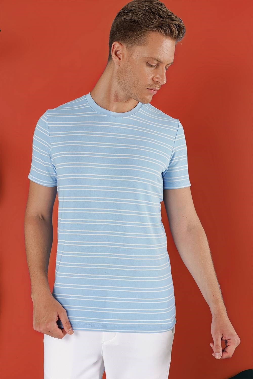 Slim Fit Bisiklet Yaka Çizgili Pamuklu Mavi Tişört TS 851