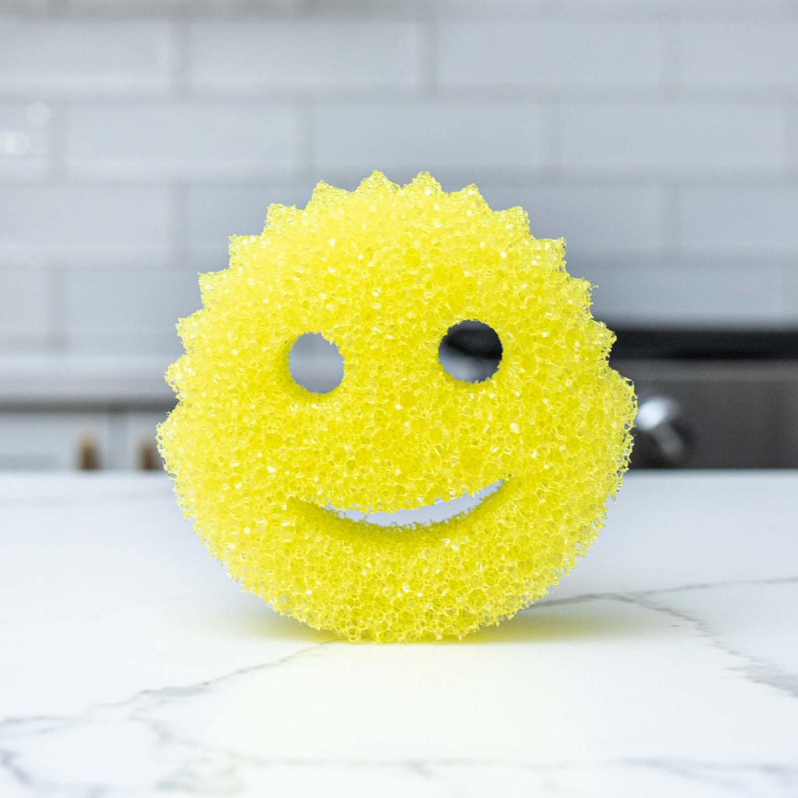 Scrub Daddy Favoriler Seti (2li Sünger)