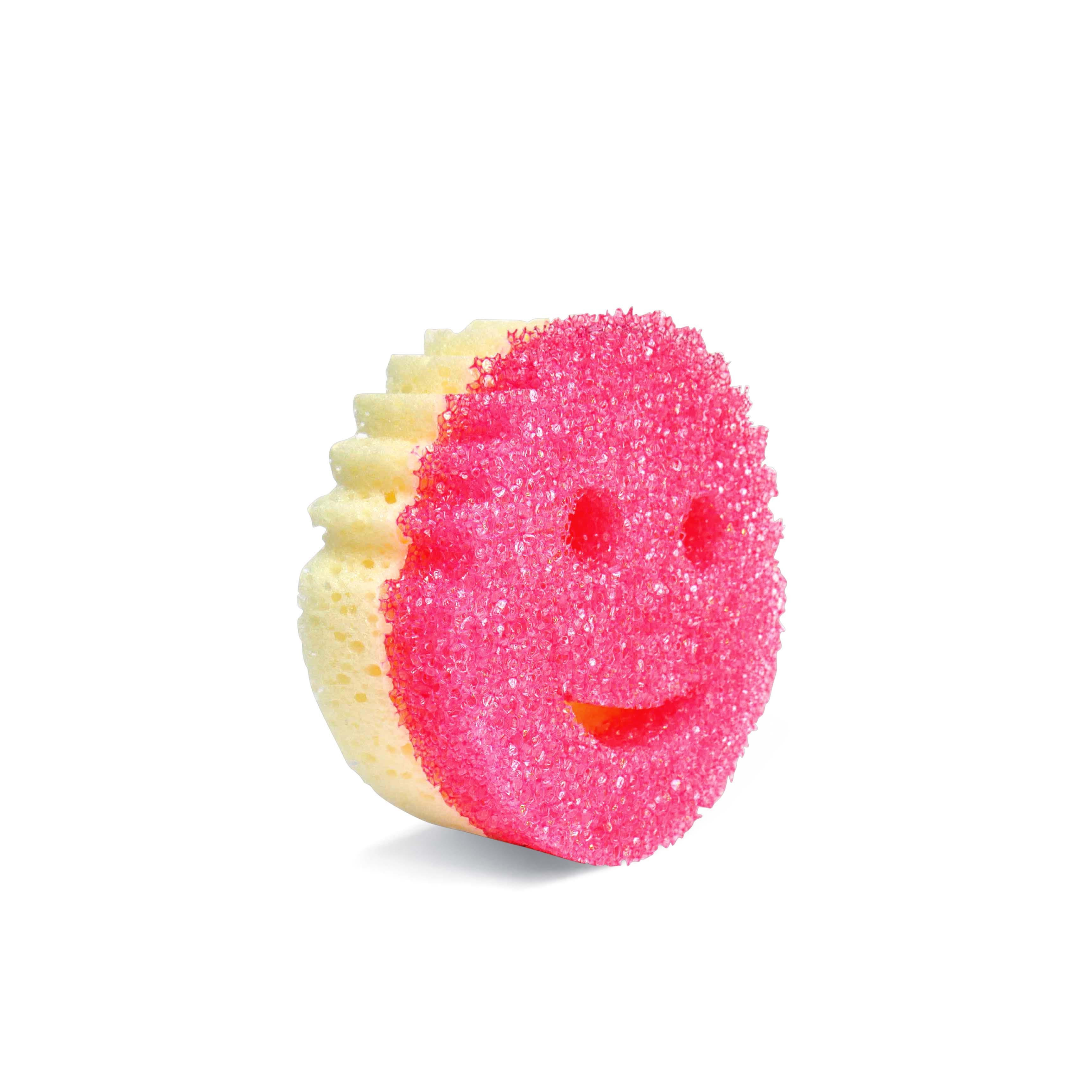 Scrub Daddy Favoriler Seti (2li Sünger)