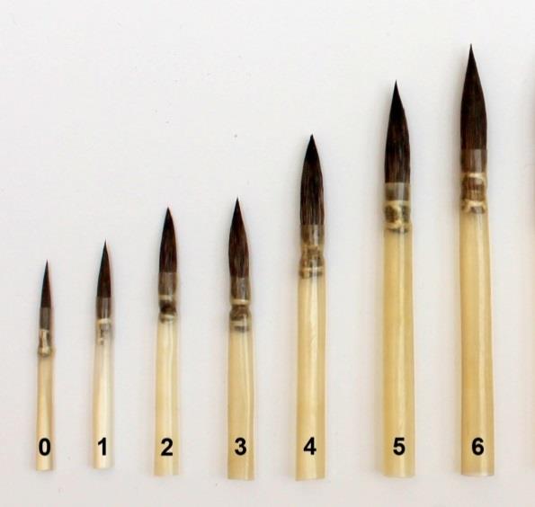 Feder Pinsel Sincap Kılı Seri 1301