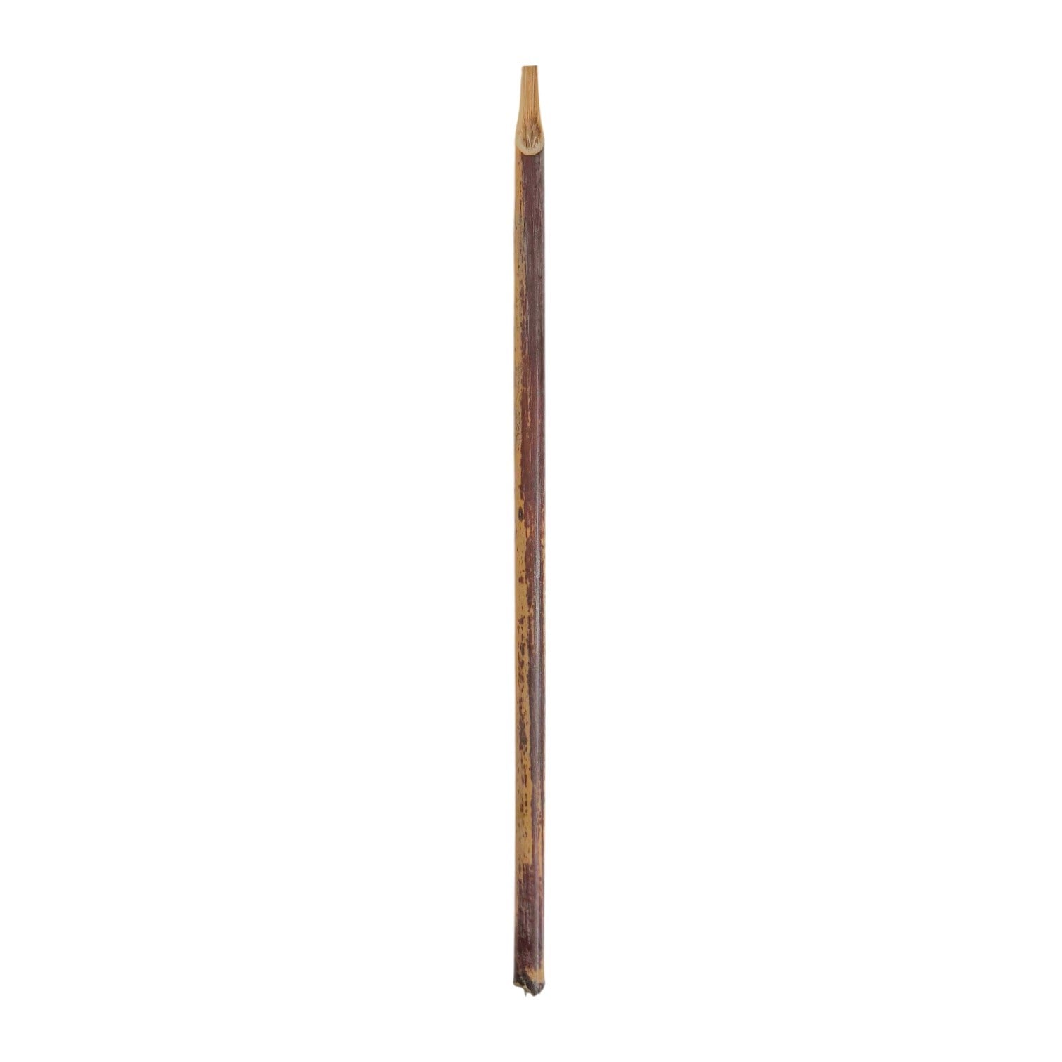 Kamış Hat Kalemi 23cm