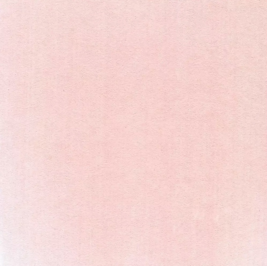 PanPastel 340.8 Permanent Red Tint