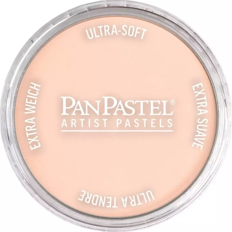 PanPastel 380.8 Red Iron Oxide Tint
