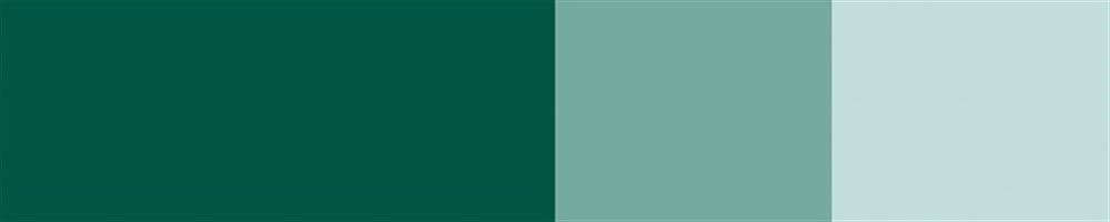 Schmincke Horadam Gouache Artist Guaj Boya 15 ml 528 Cobalt Green