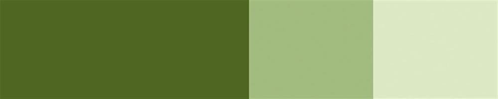 Schmincke Horadam Gouache Artist Guaj Boya 15 ml 532 Olive Green 