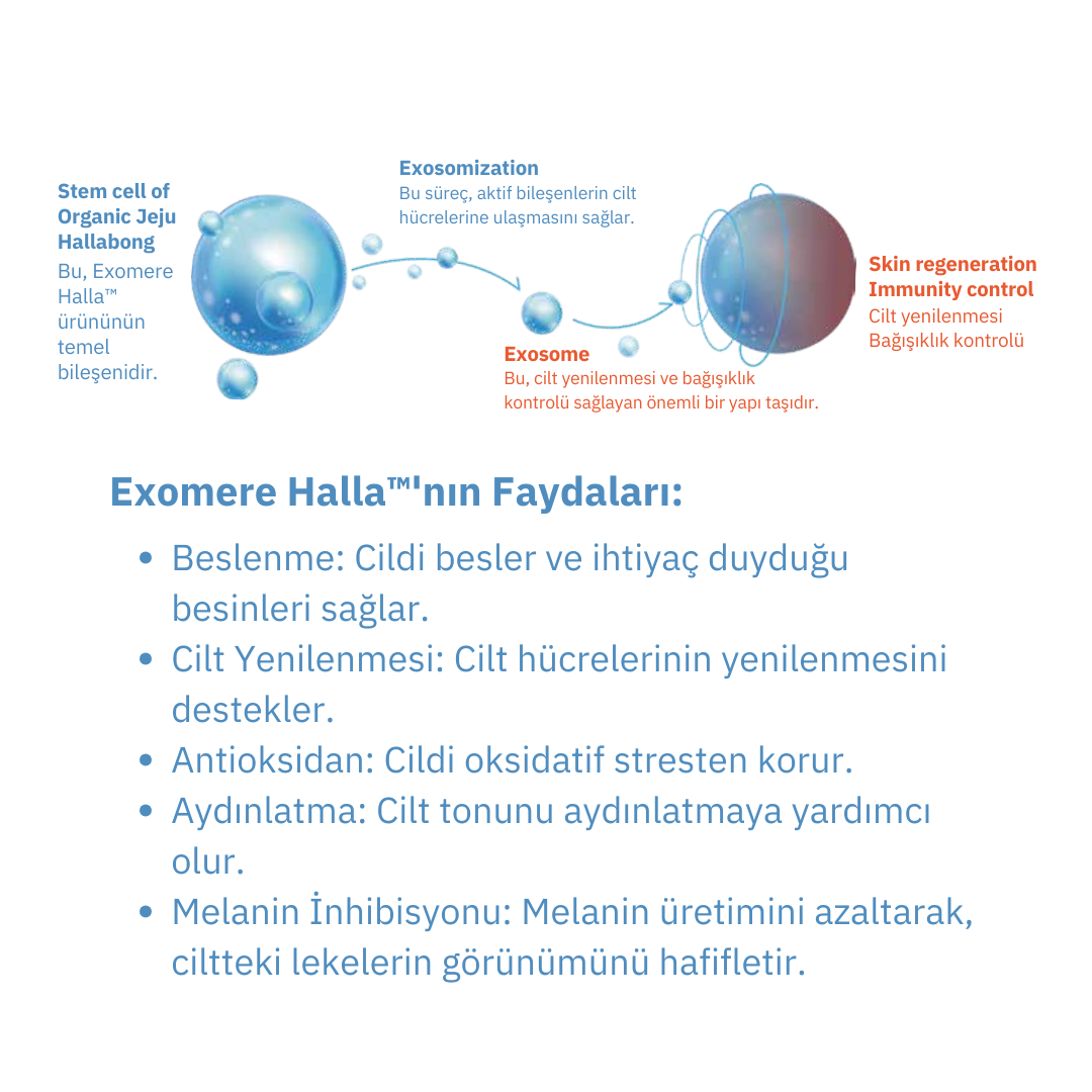 EXOMERE Çay Ağacı Temizleyici (Tea Tree Cleanser)