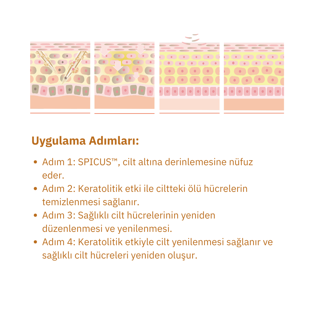 EXOMERE Implant Solüsyon Anti-Aging