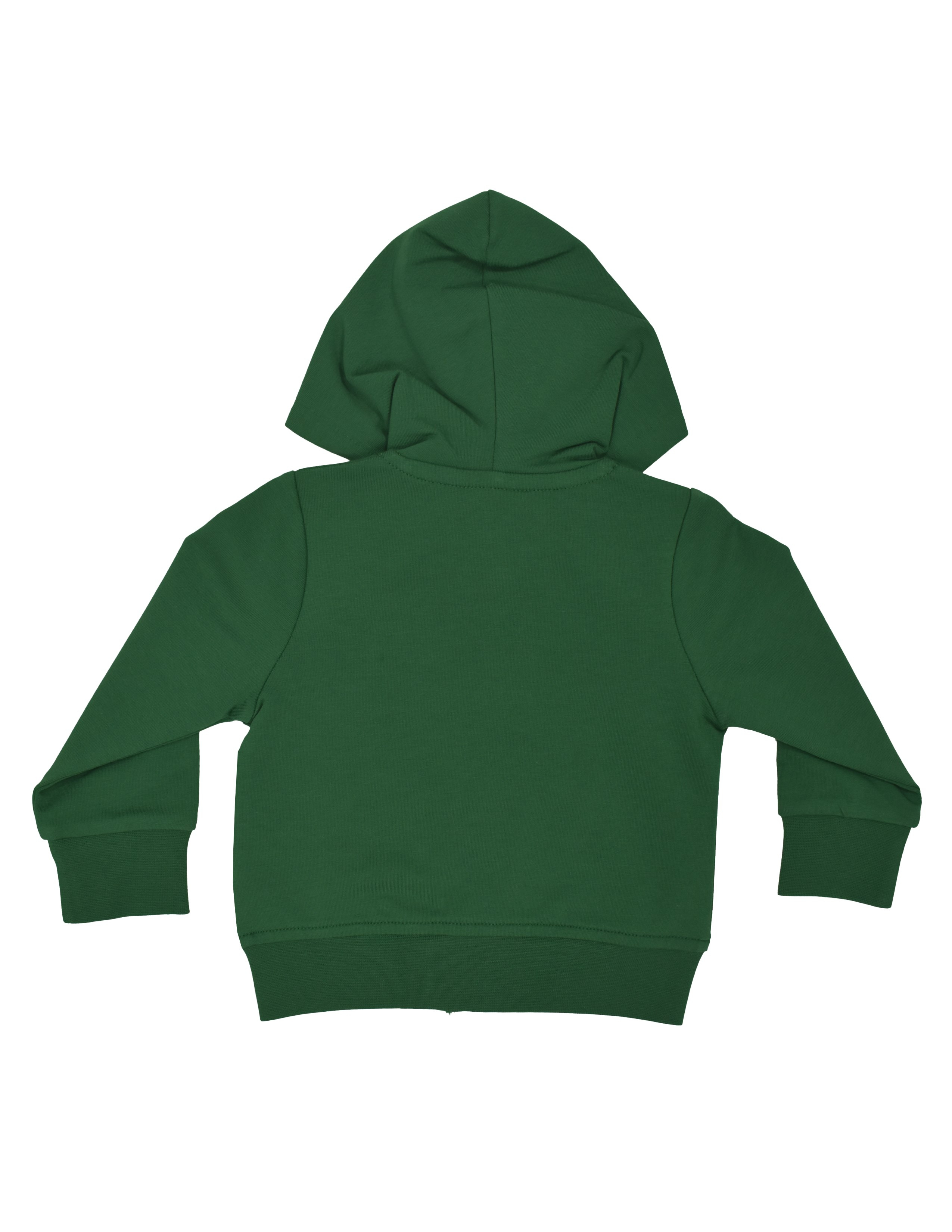 Basic Bebek Yeşil Kapüşonlu Sweatshirt 