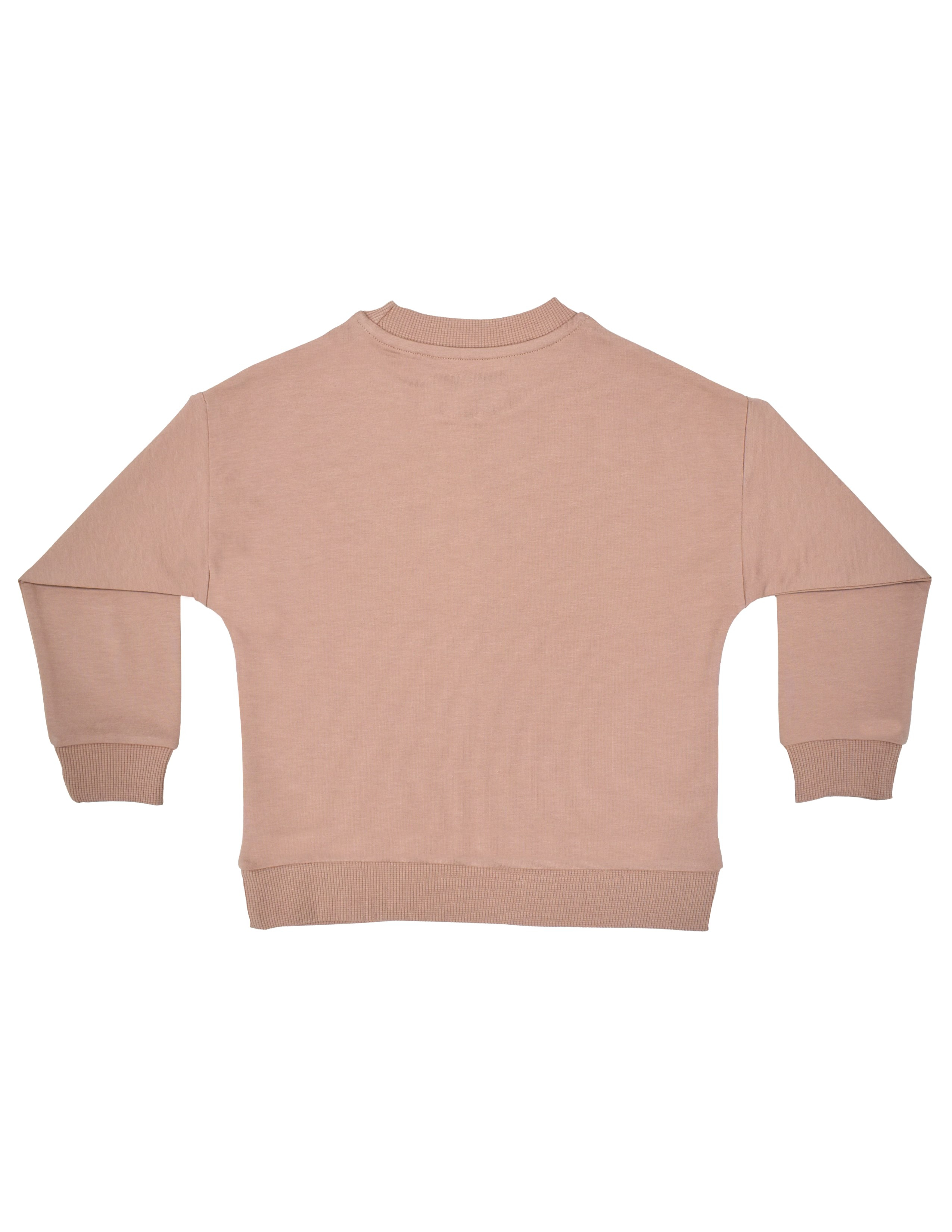 Dusty Rose Kız Çocuk Gül Kurusu Dikişli Sweatshirt