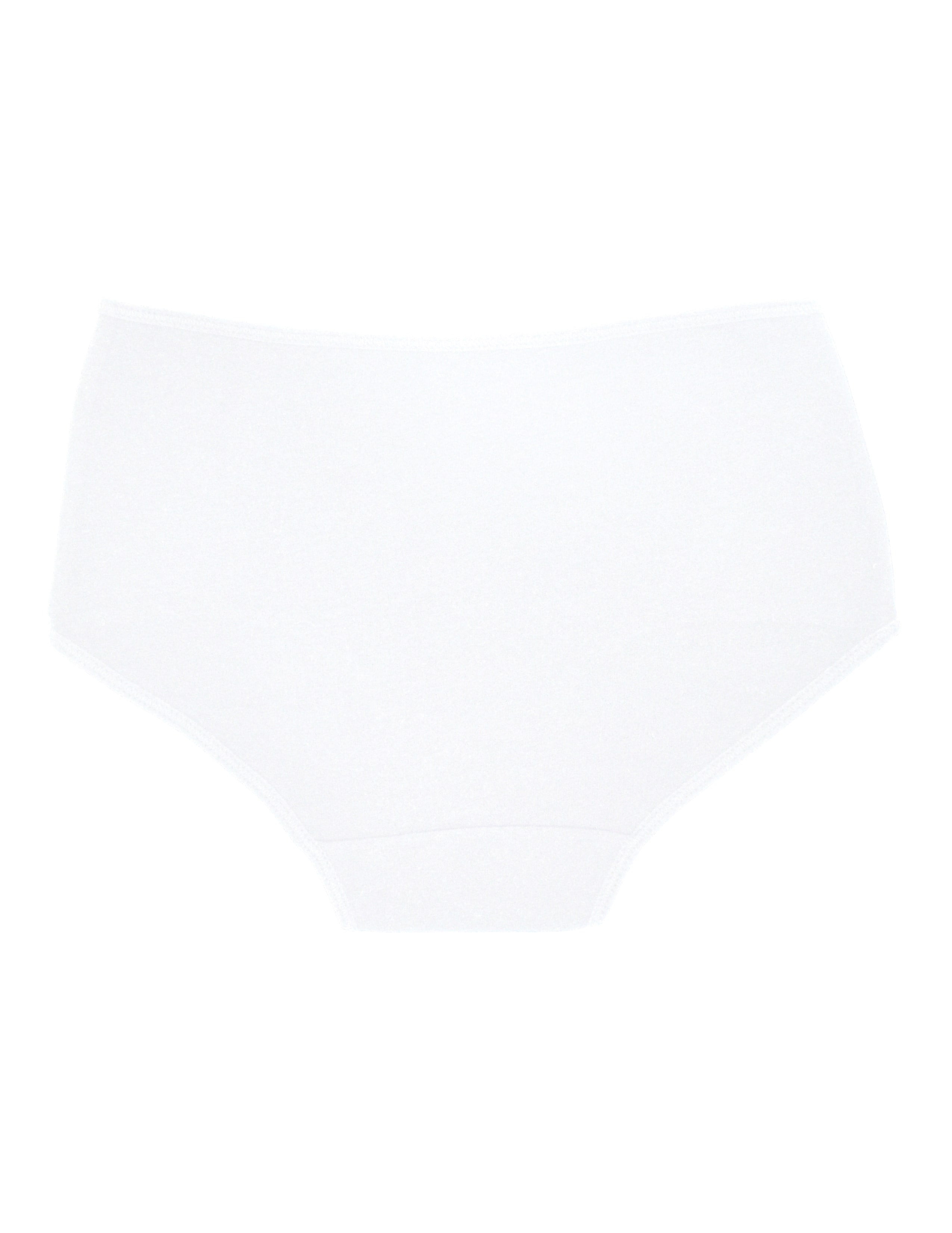 Ease Kadın Beyaz Yüksek Bel Slip Külot 2'li Set