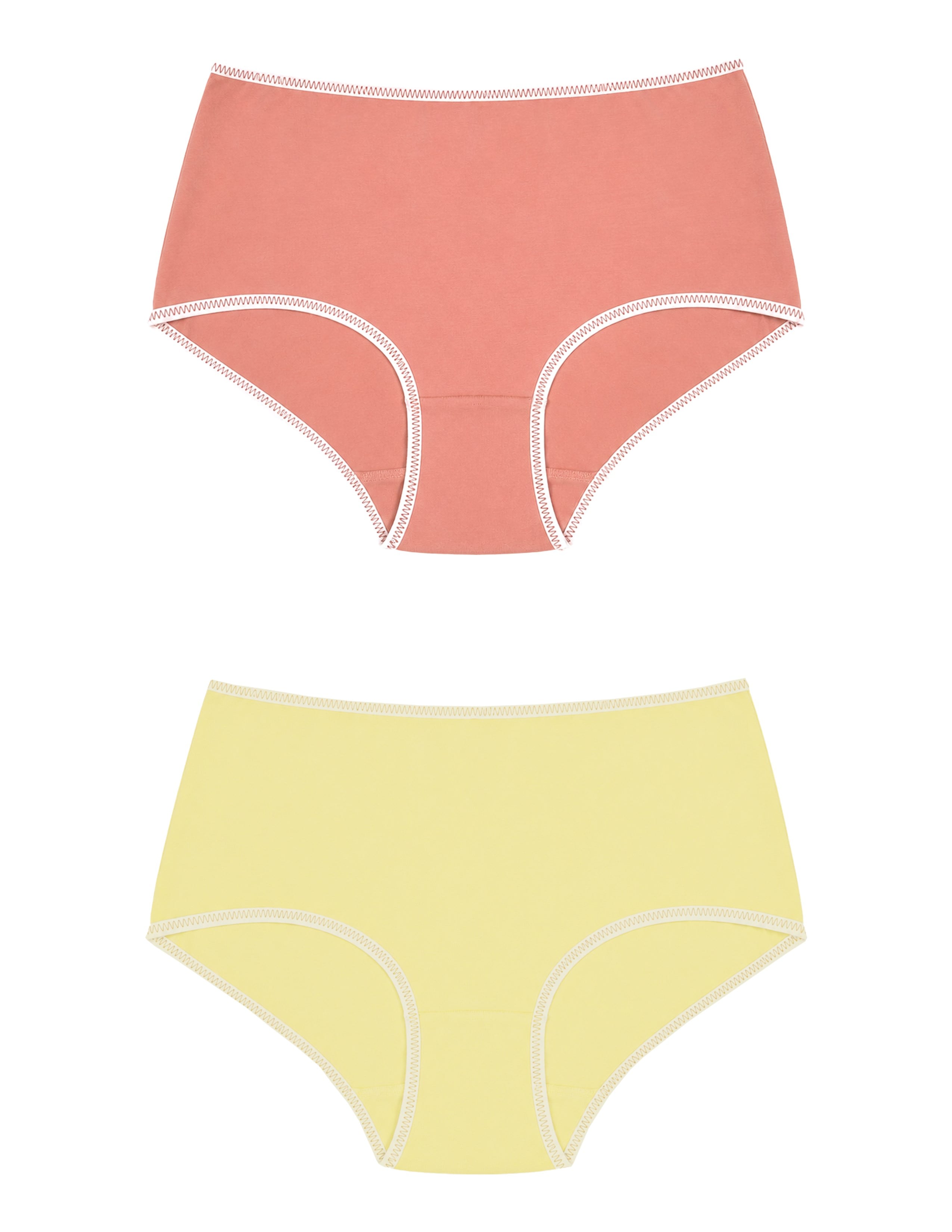 Ease Kadın Gülkurusu-Sarı Yüksek Bel Slip Külot 2'li Set