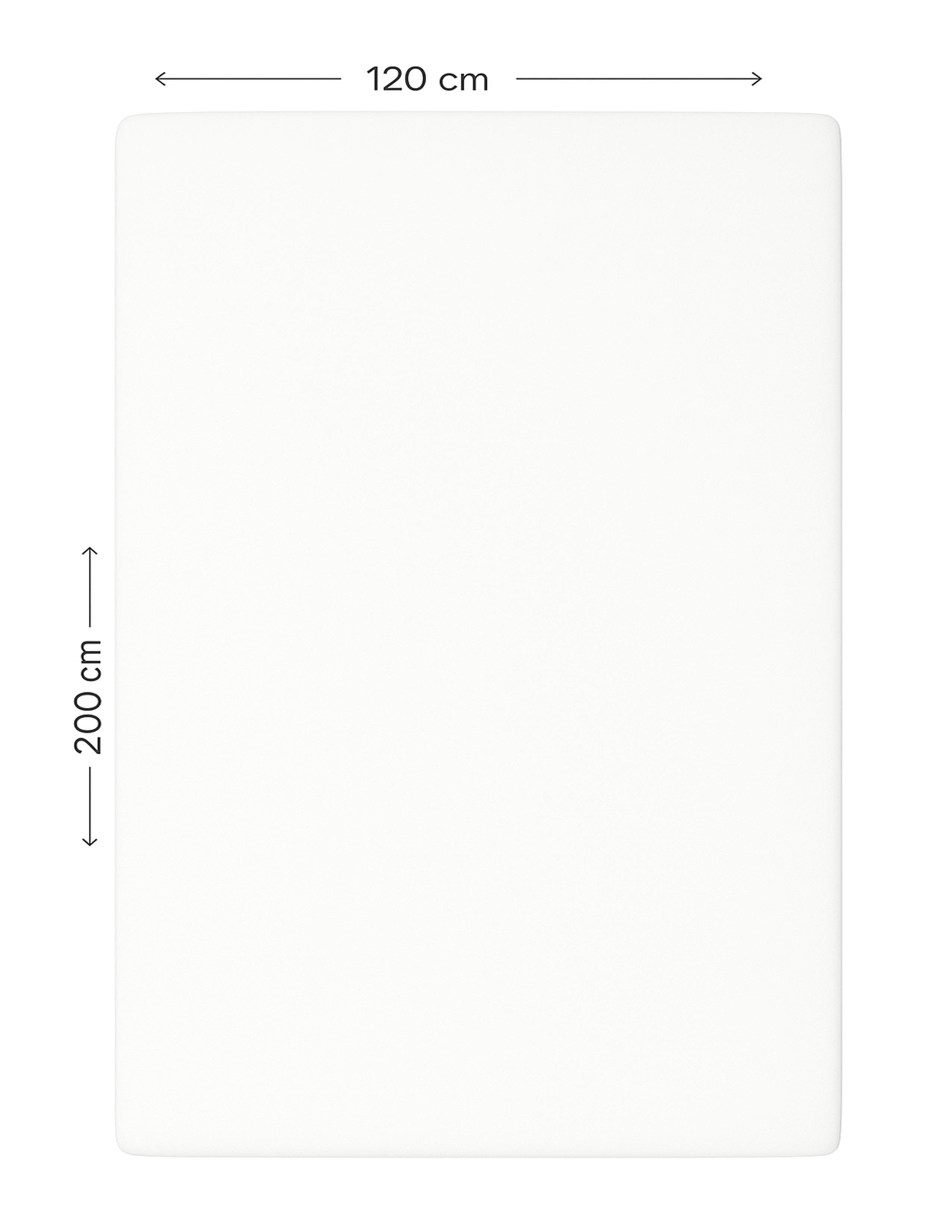 Home Collection Beyaz Tek Kişilik Lastikli Battal Çarşaf 120X200