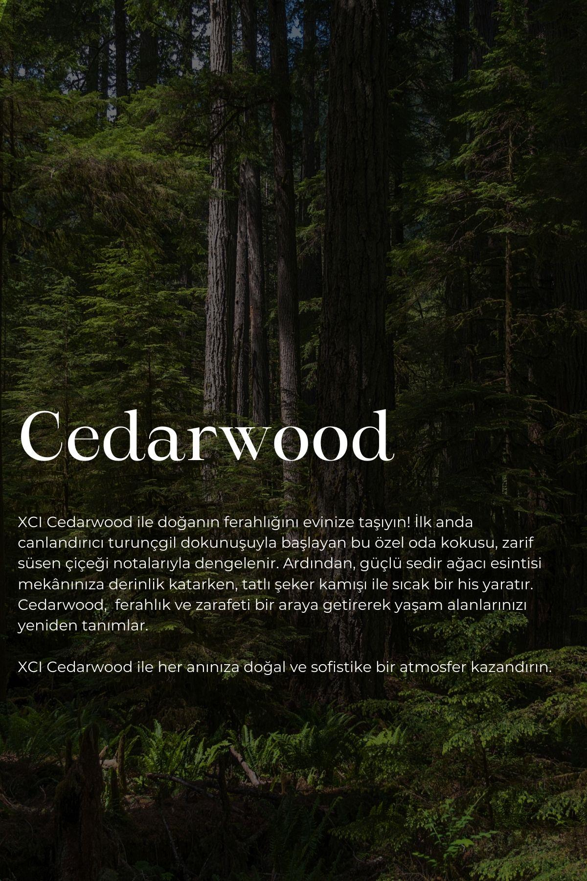 Cedarwood 500 ml Ortam ve Kumaş Parfüm Spreyi – Doğal Ferahlık ve Uzun Süre Kalıcı Etki