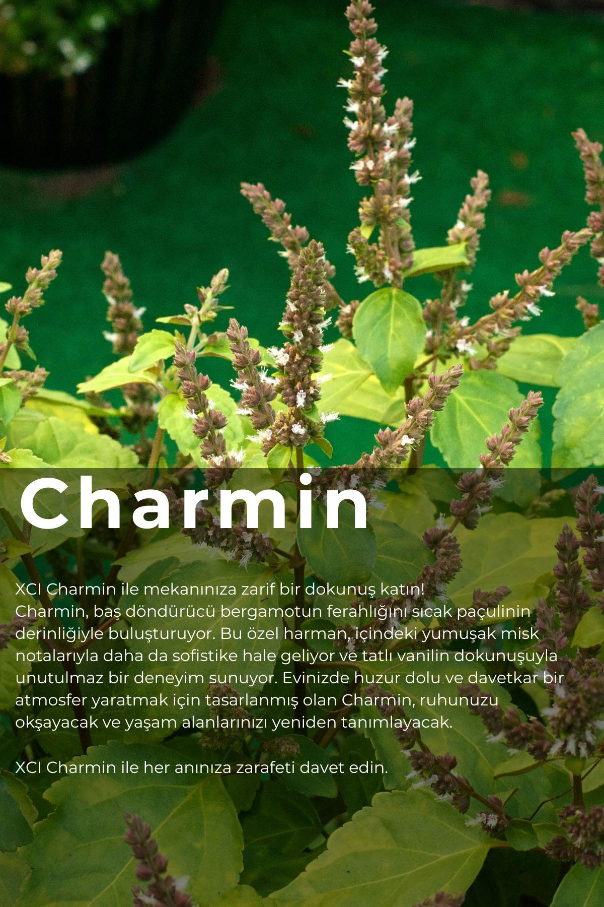 Charmin 100 ml Çubuklu Ortam Kokusu – Ferahlık ve Şıklığı Bir Arada Sunan Kalıcı Koku