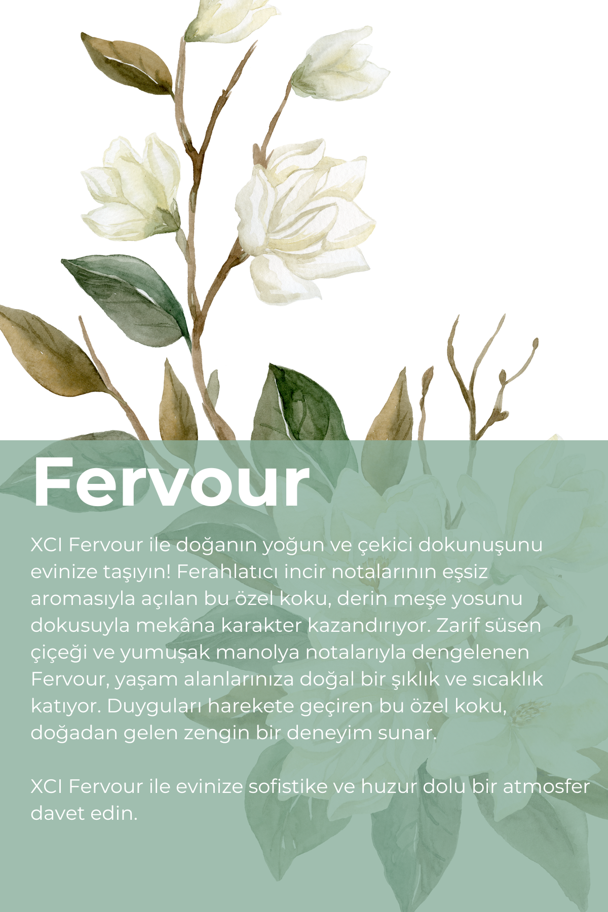 Fervour 500 ml Ortam ve Kumaş Parfüm Spreyi – Doğal Ferahlık ve Uzun Süre Kalıcı Etki