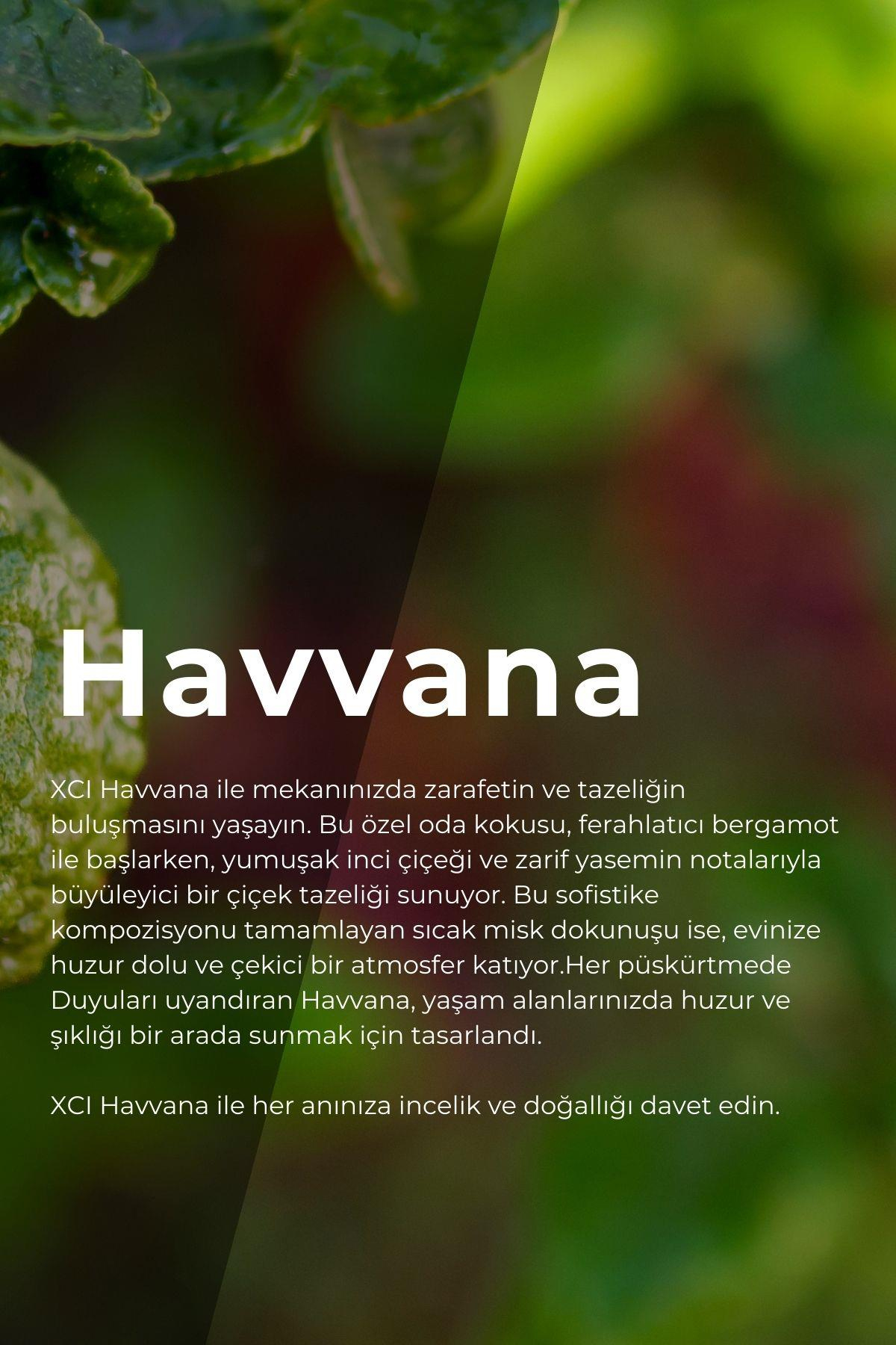 Havvana 500 ml Ortam ve Kumaş Parfüm Spreyi – Ferahlatıcı ve Uzun Süre Kalıcı Koku