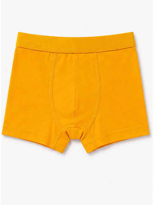 Karayel Erkek Çocuk Üçlü Boxer Paketi