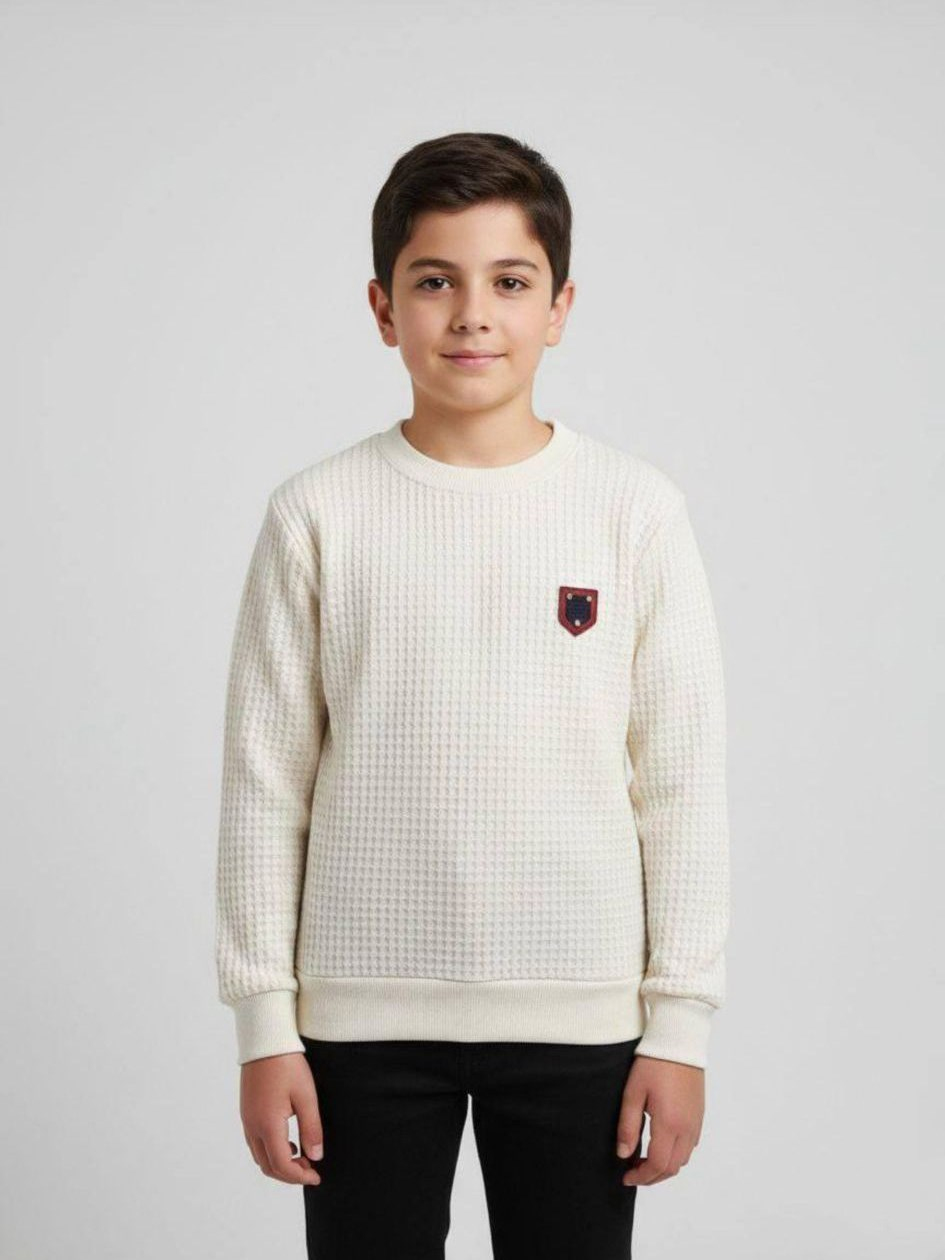 Zigo Erkek Çocuk Sweatshirt Ekru