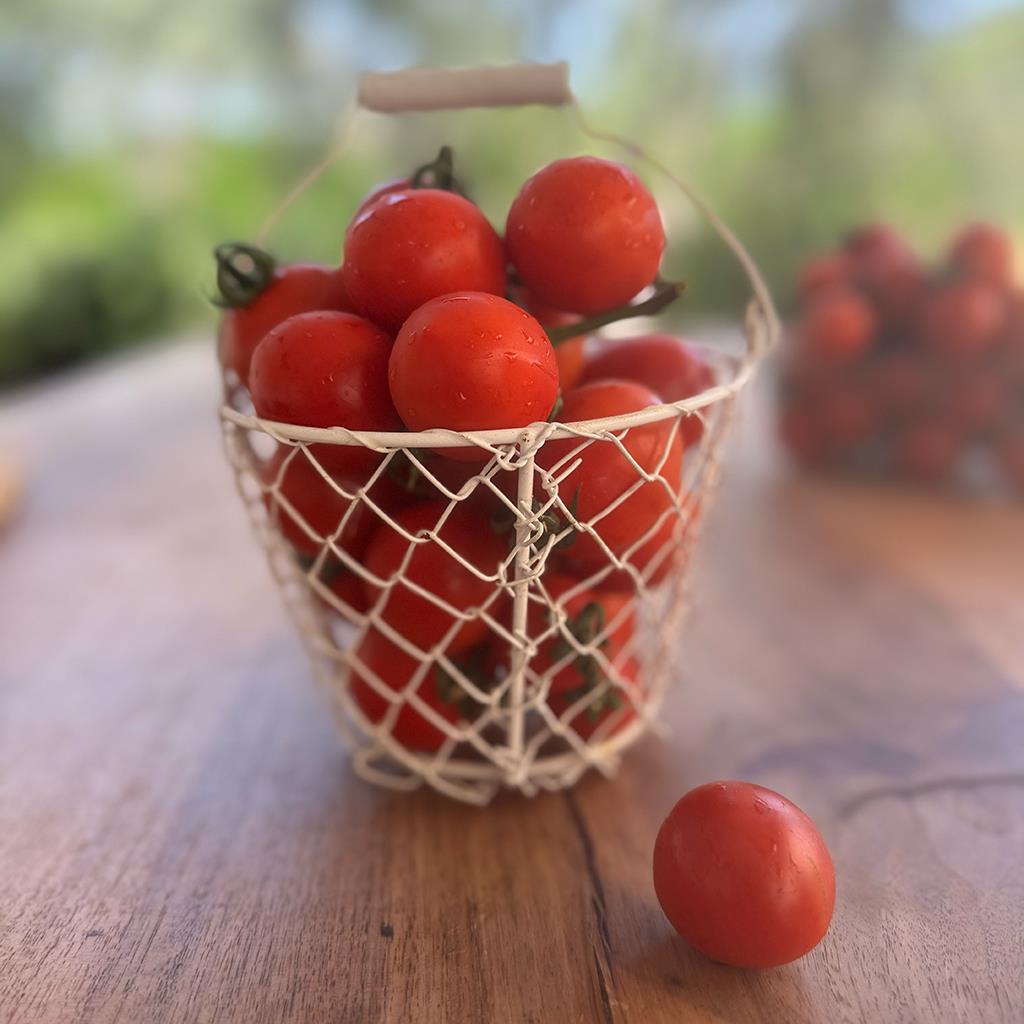 Çeri Domates (500 Gr.)