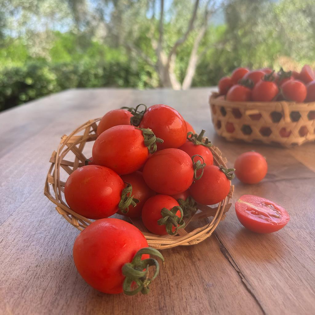 Çeri Domates (500 Gr.)
