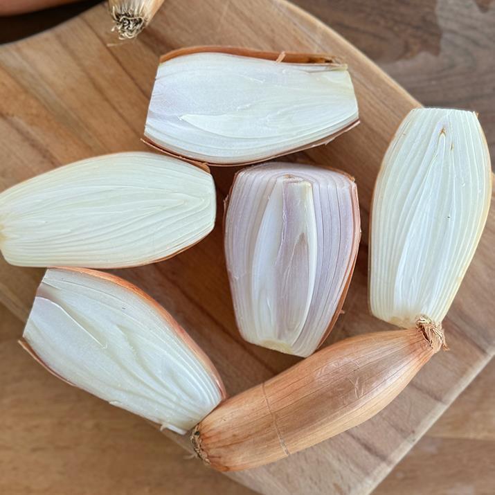 Elcik Soğanı (1 KG)