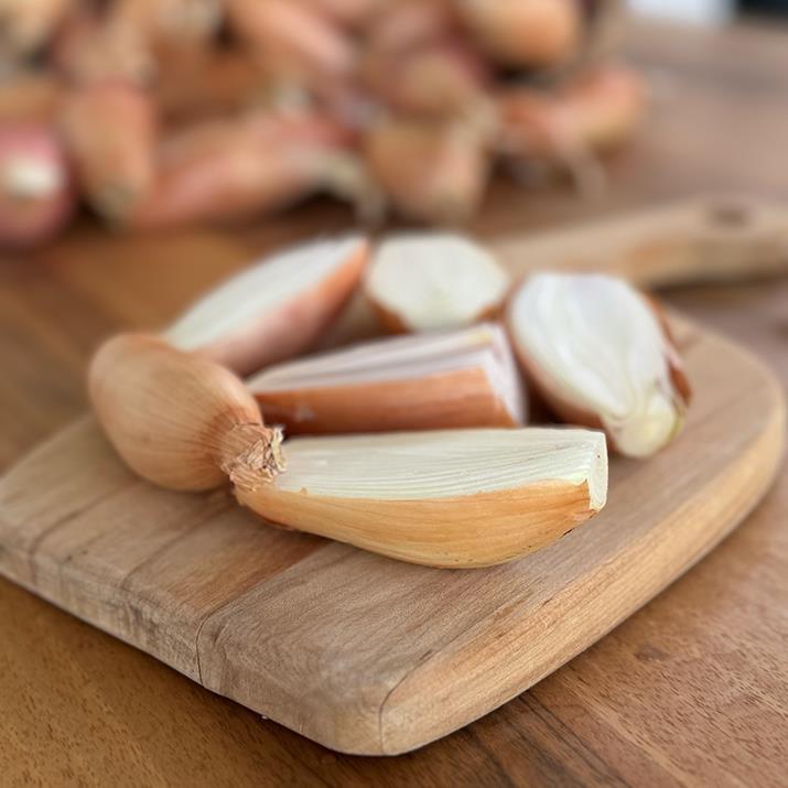 Elcik Soğanı (1 KG)