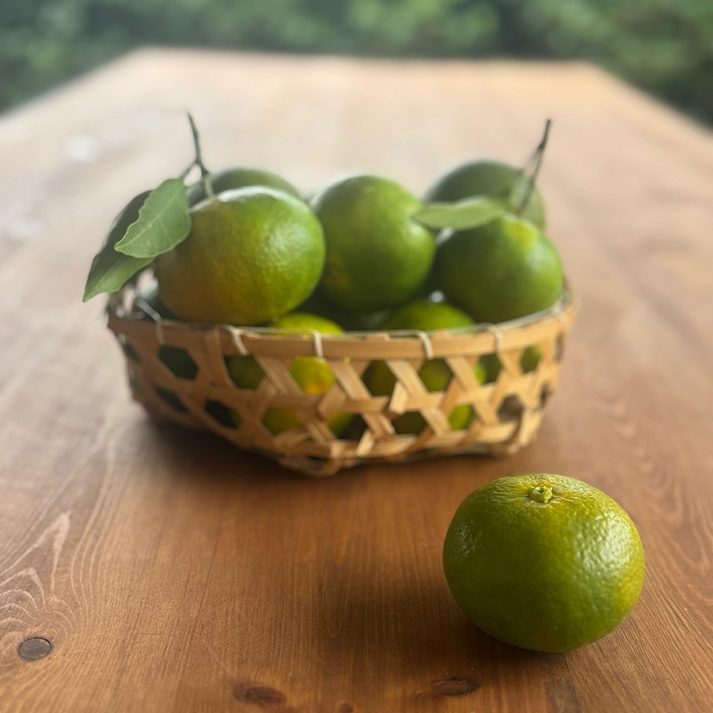 Erkenci Mandalina (2 Kg.)