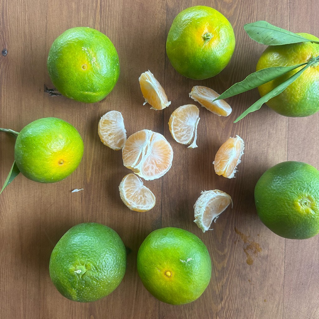 Erkenci Mandalina (2 Kg.)