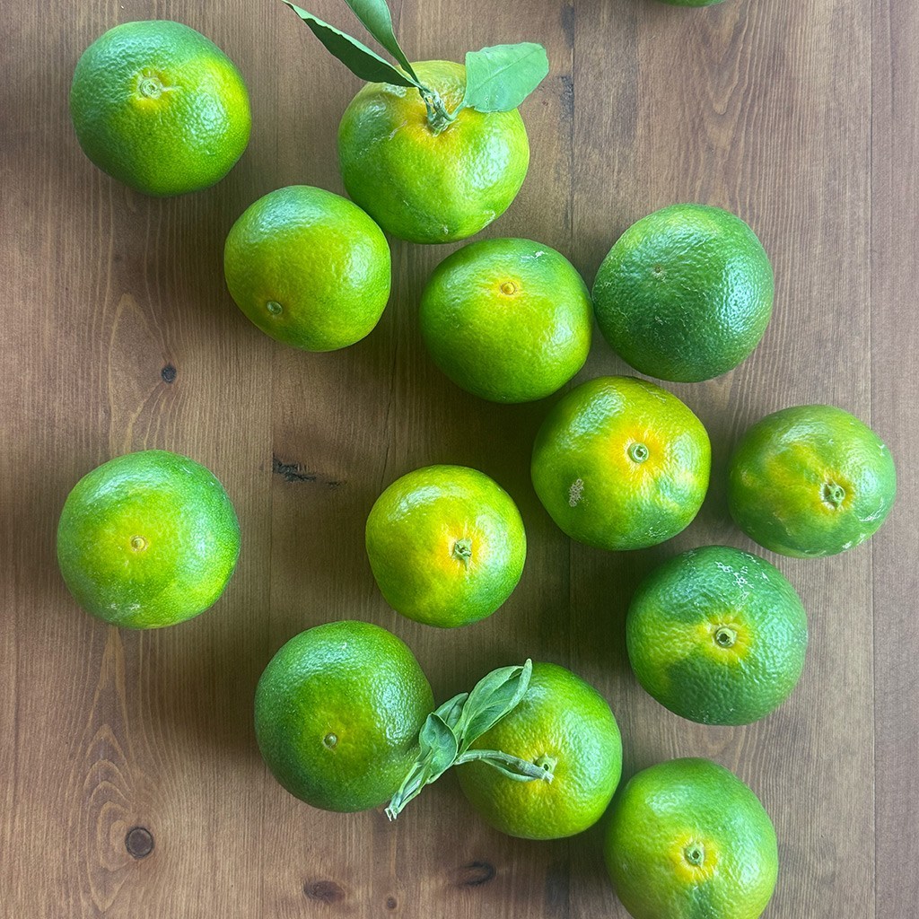 Erkenci Mandalina (2 Kg.)