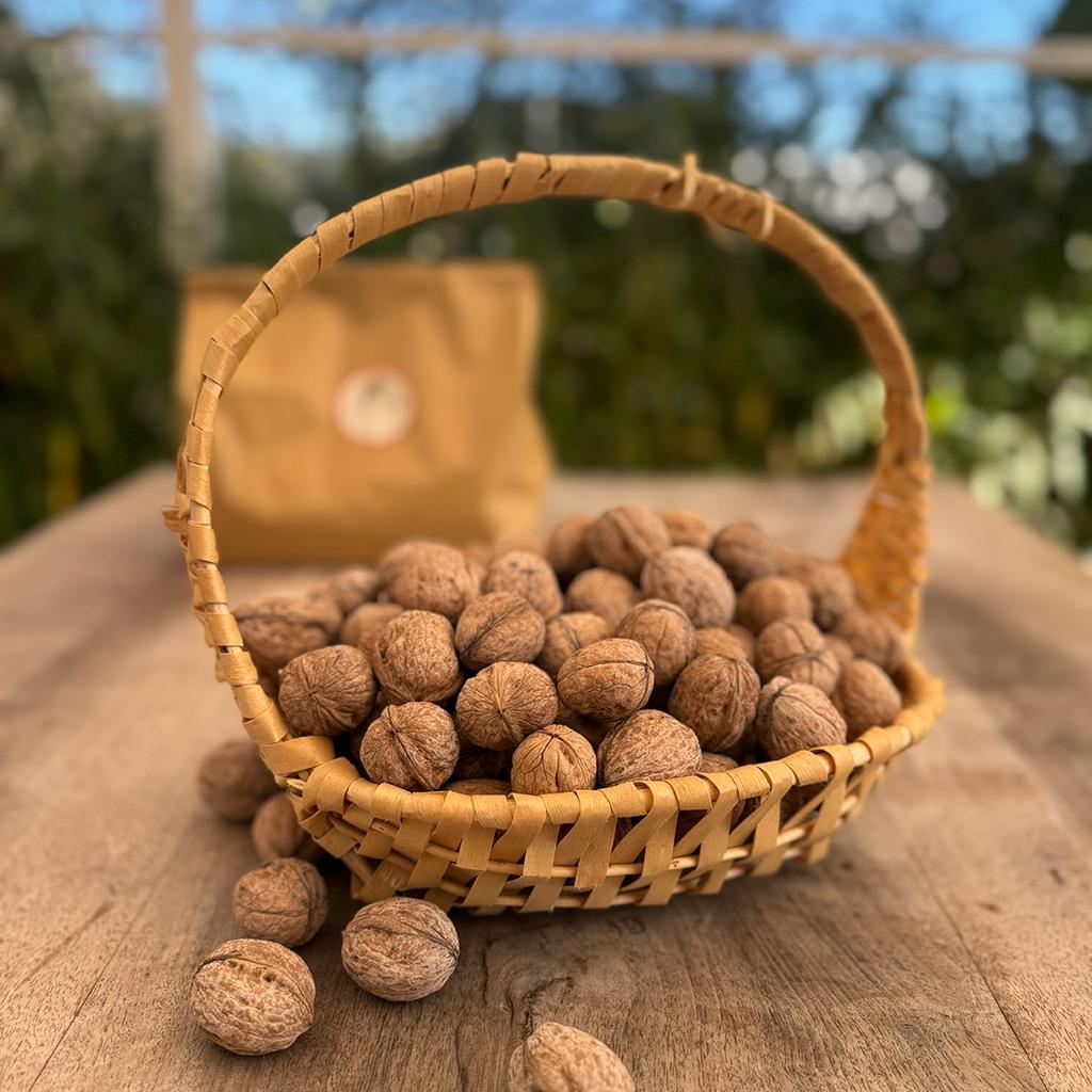 Kabuklu Yerli Ceviz (1 Kg.)