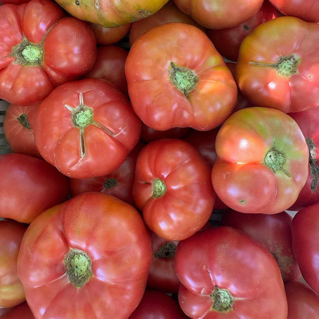 Kırmızı ve Pembe Yayla Domatesi (1 Kg.)