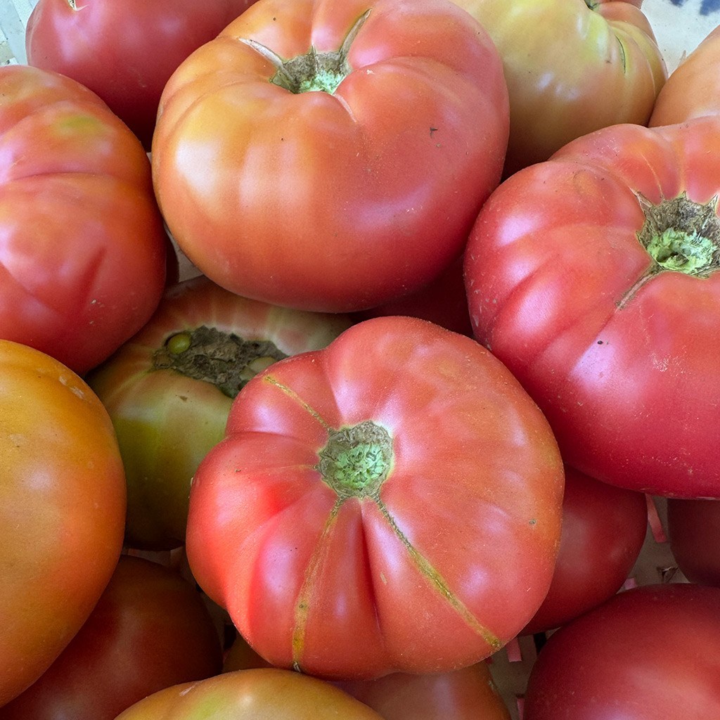 Kırmızı ve Pembe Yayla Domatesi (1 Kg.)