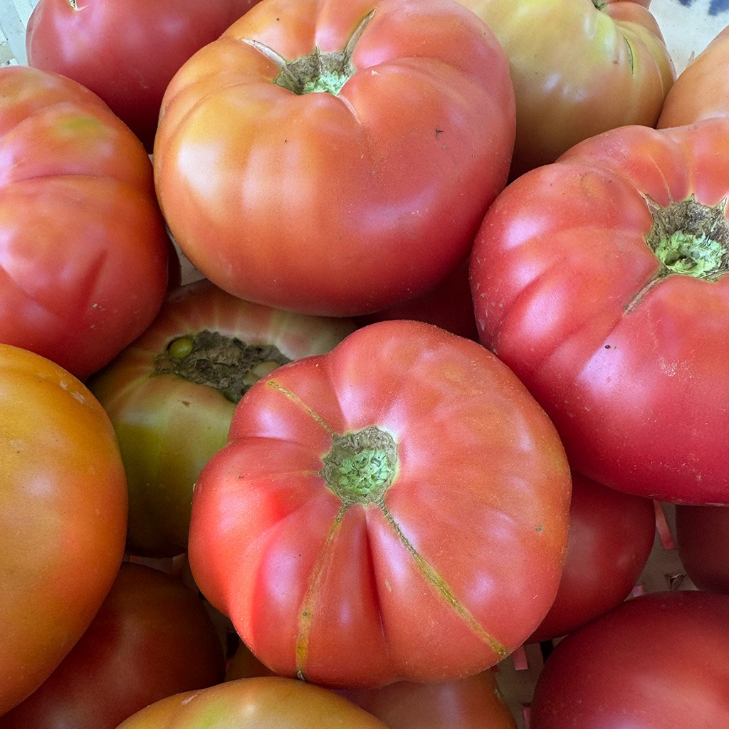 Kırmızı ve Pembe Yayla Domatesi (1 Kg.)