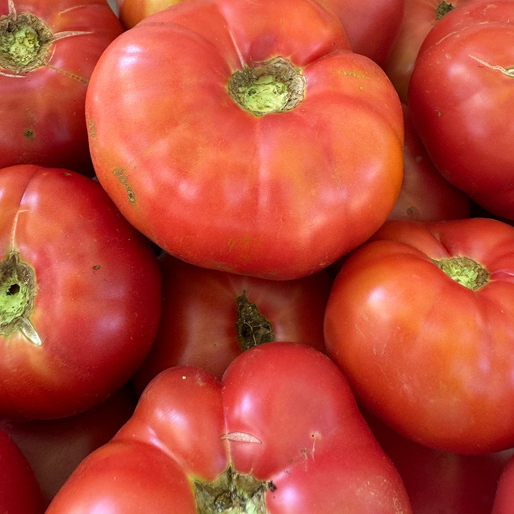 Kırmızı ve Pembe Yayla Domatesi (1 Kg.)